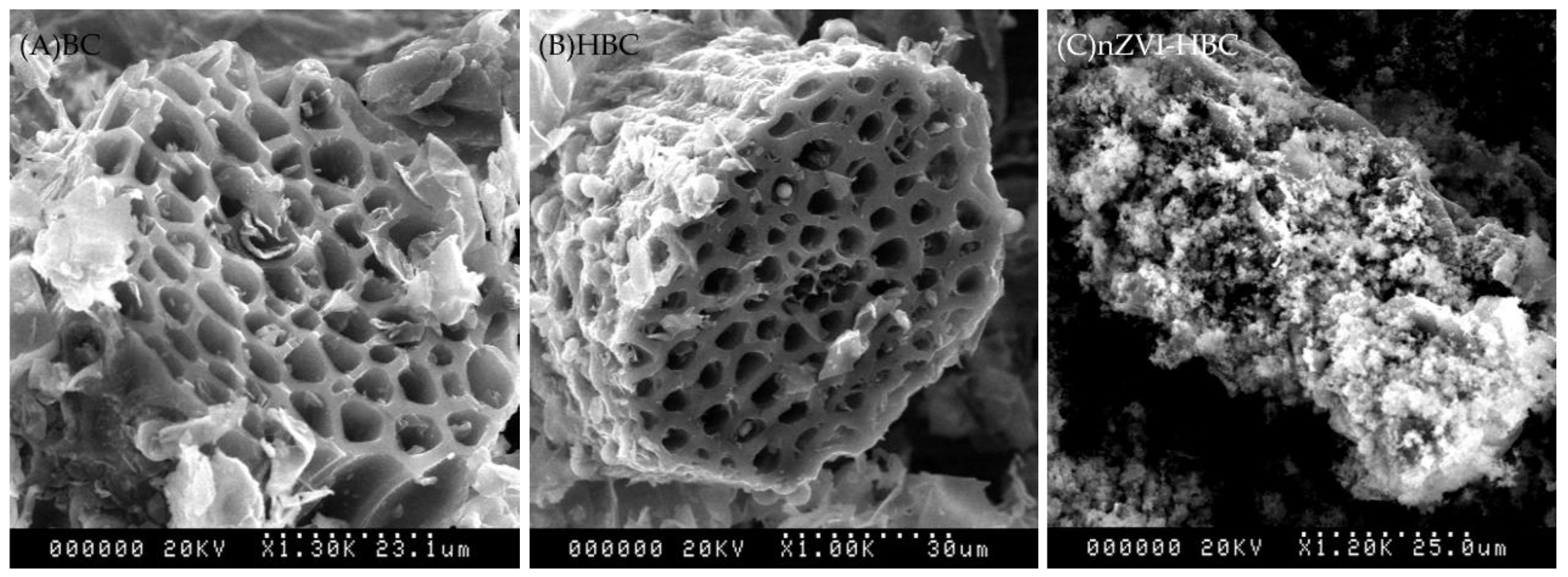 Ijerph 18 13107 g001