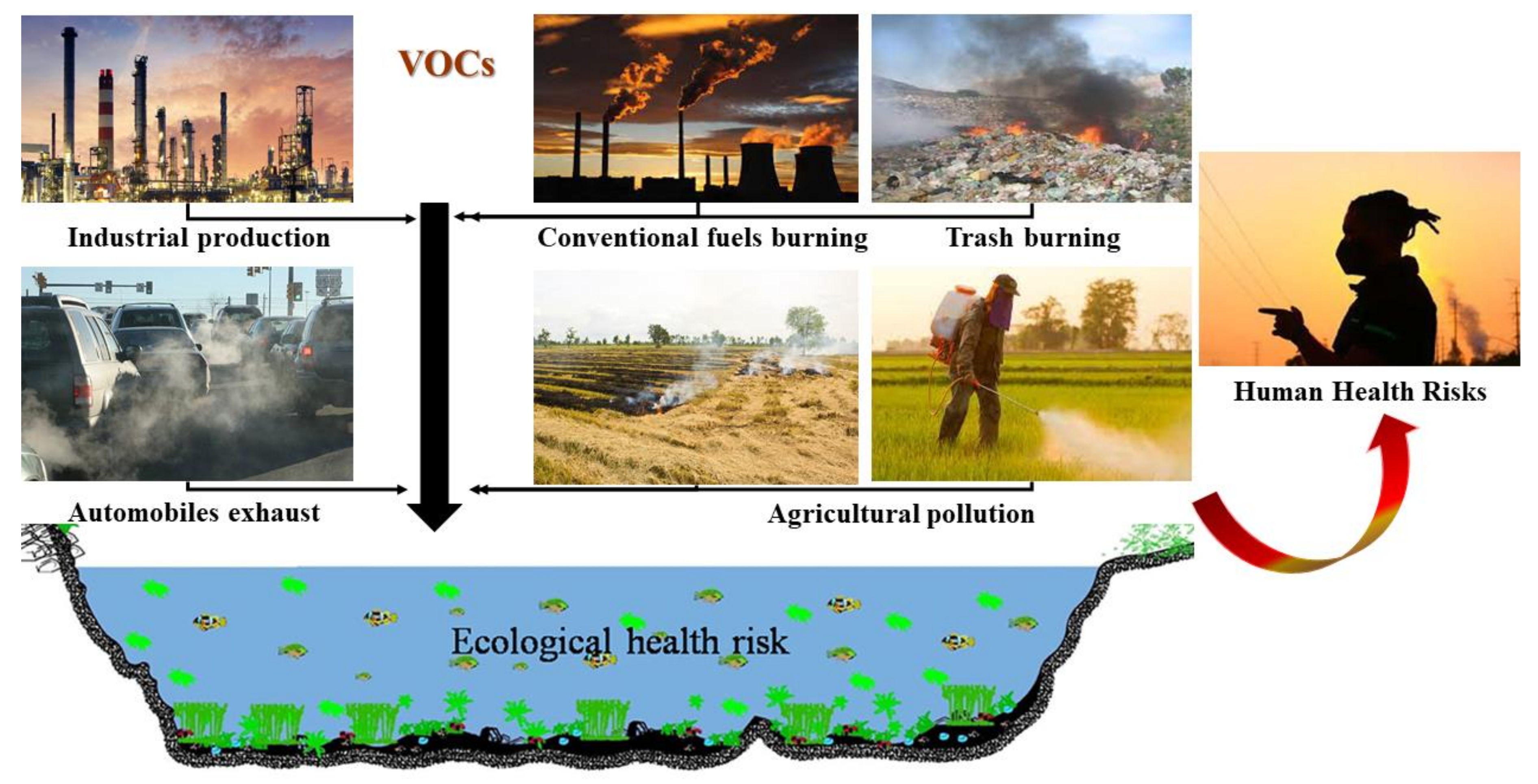 Ijerph 18 13147 g001