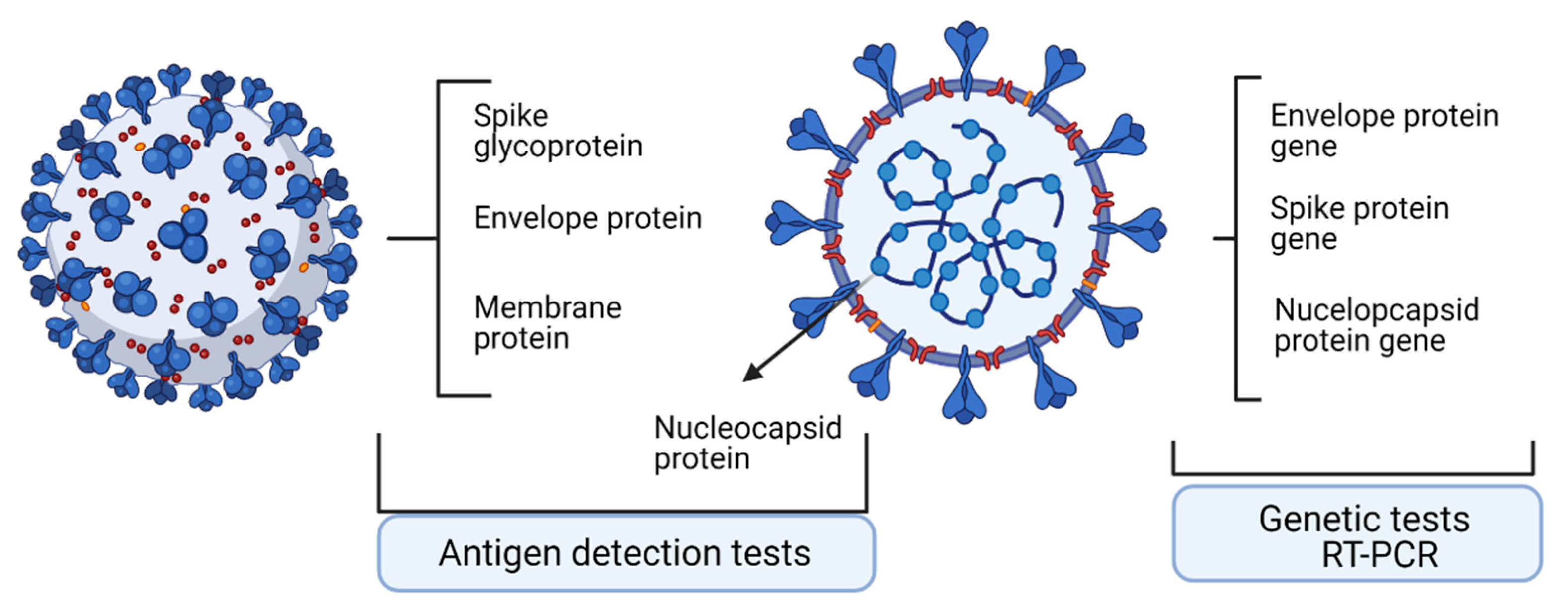 Ijerph 18 13173 g001