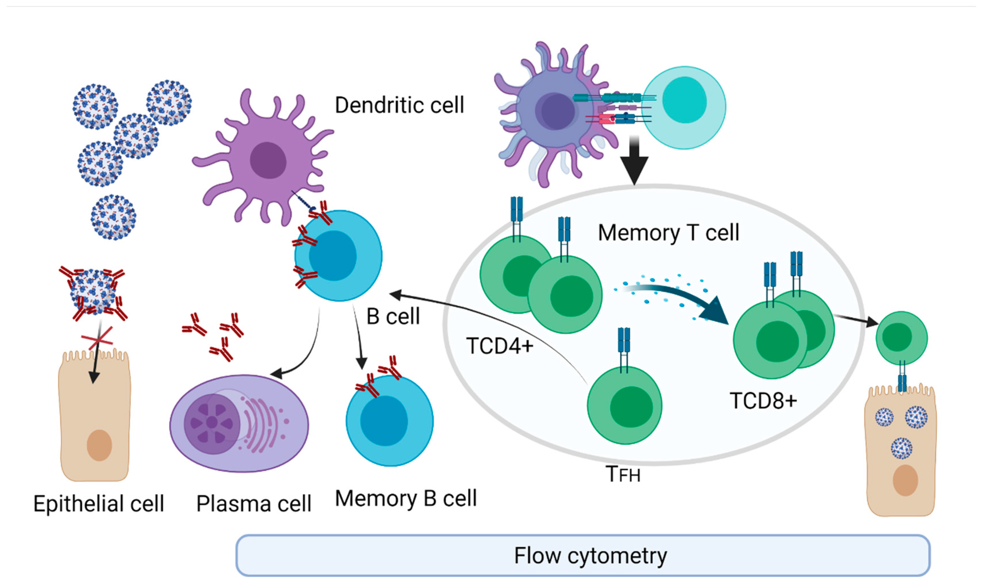 Ijerph 18 13173 g003