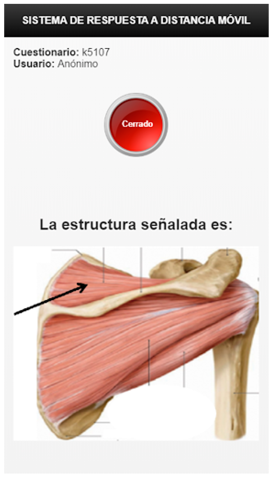 Ijerph 18 13210 g002