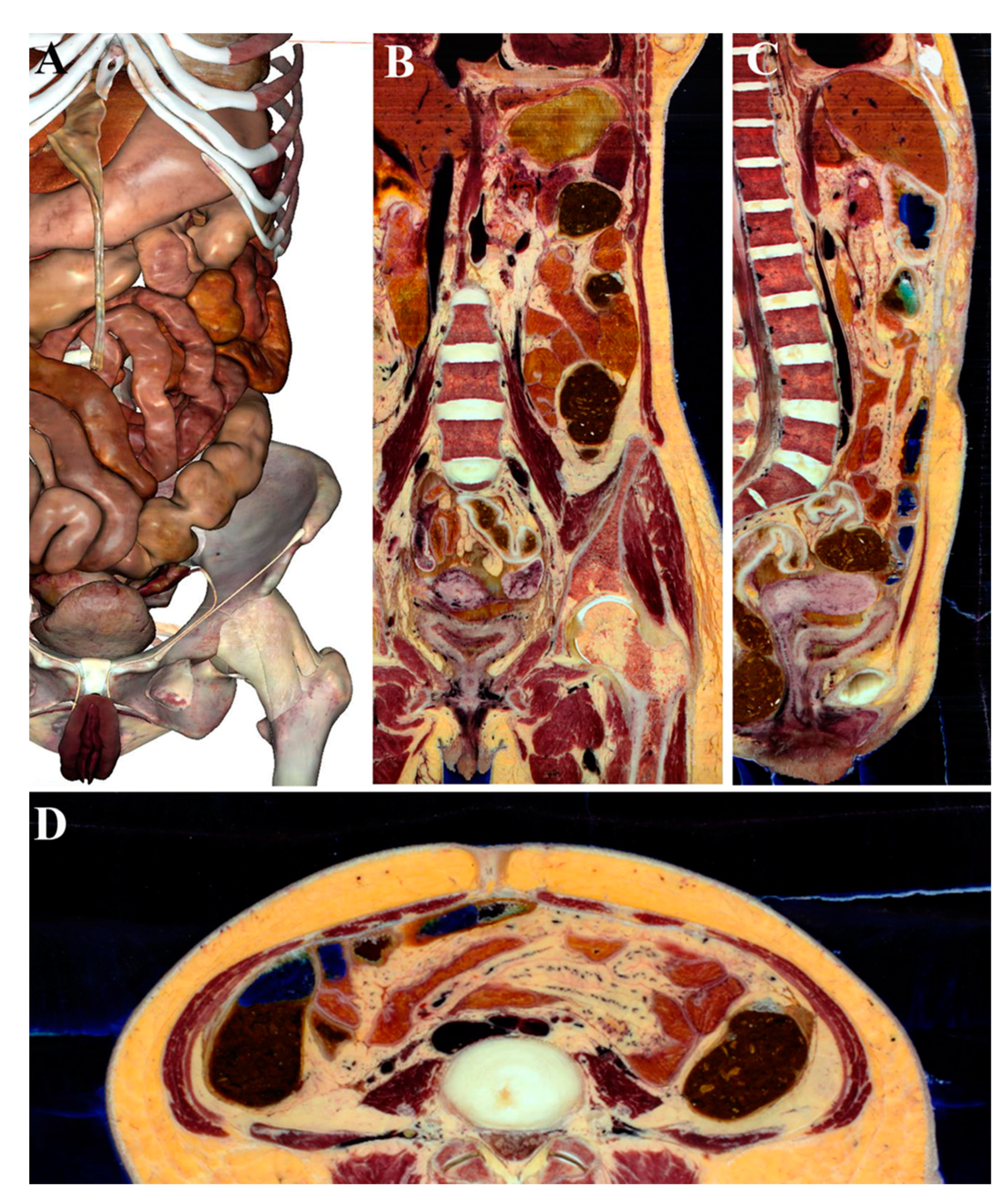 Ijerph 18 13247 g001 Ijerph 18 13247 g001