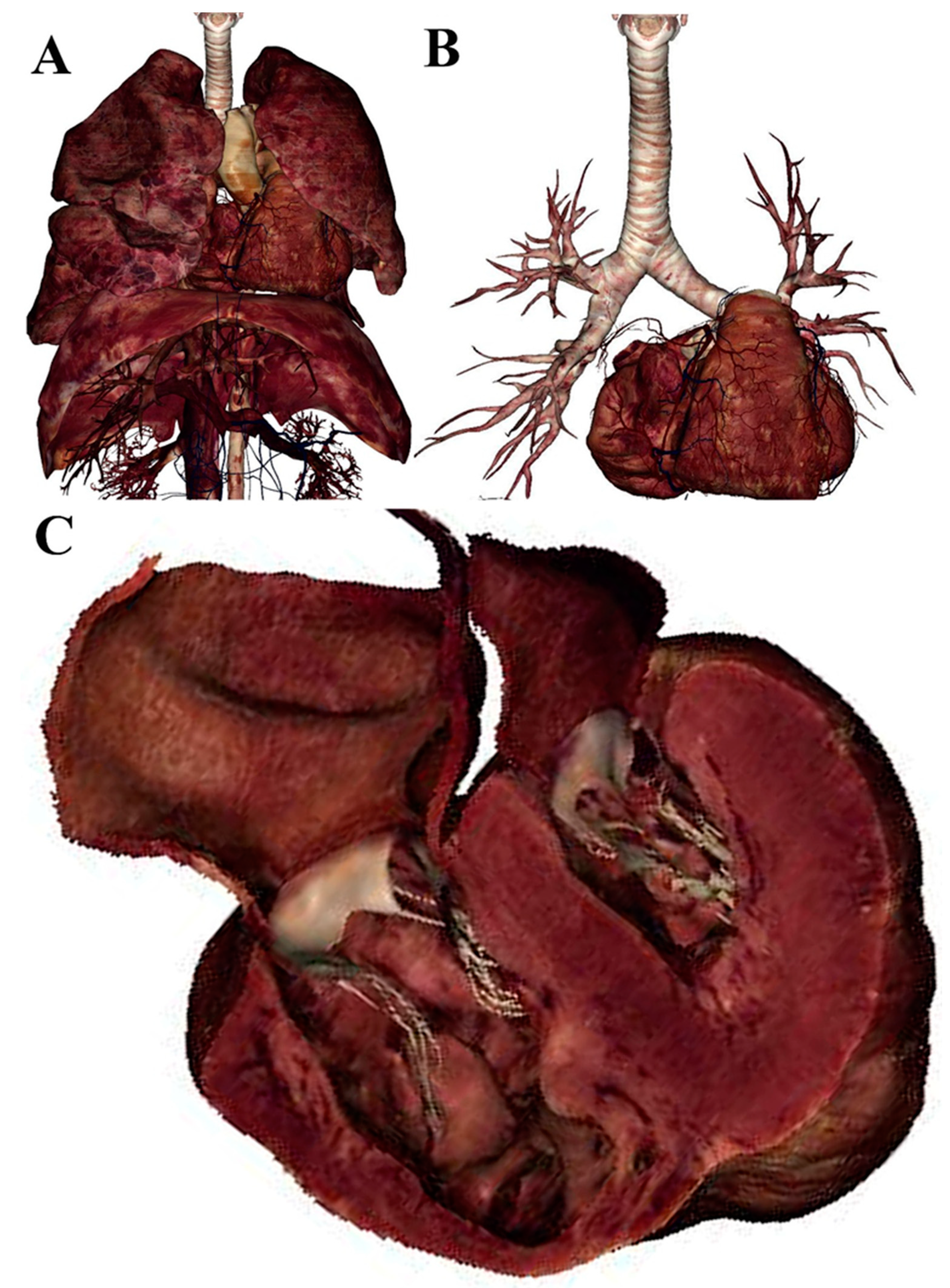 Ijerph 18 13247 g002 Ijerph 18 13247 g002
