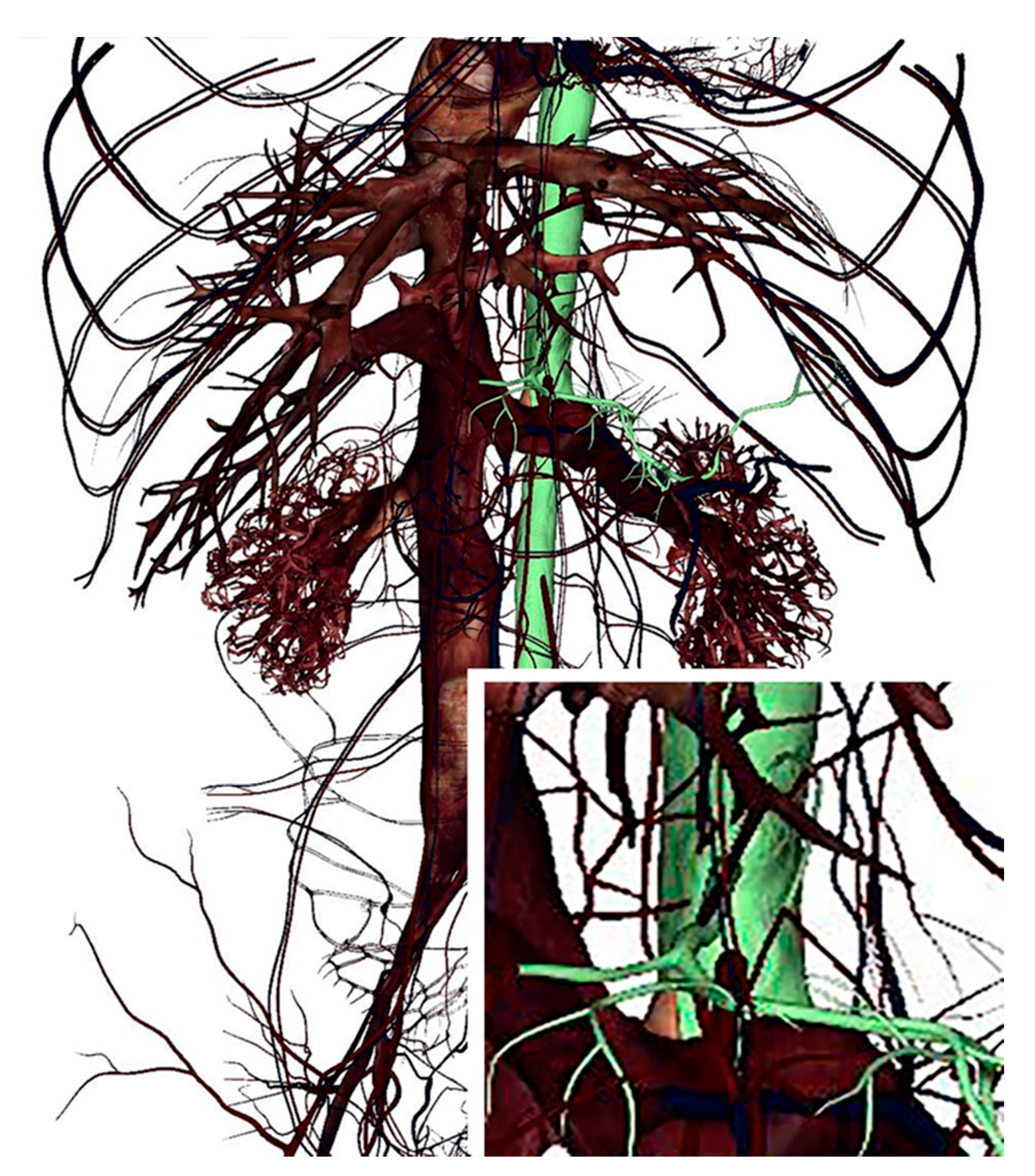 Ijerph 18 13247 g003 Ijerph 18 13247 g003