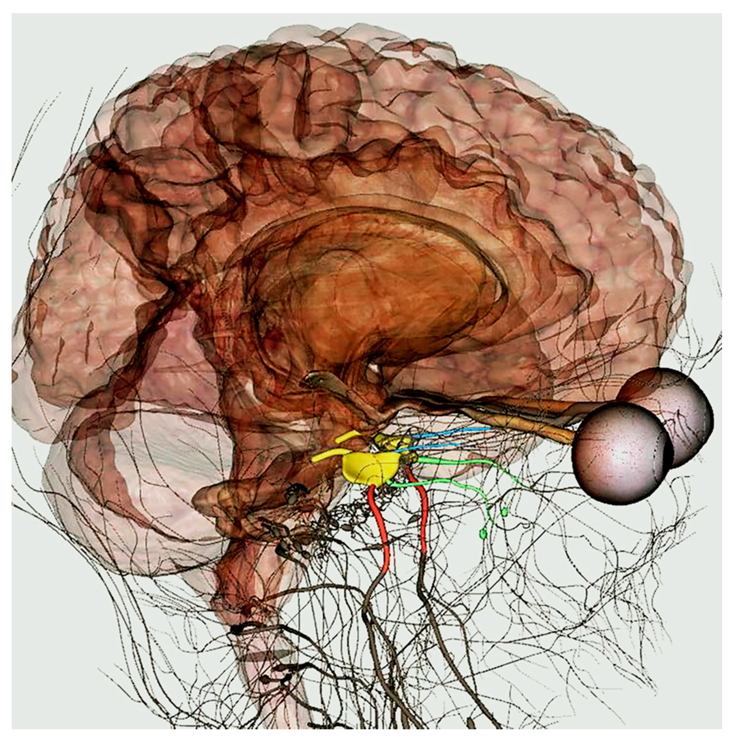 Ijerph 18 13247 g004 Ijerph 18 13247 g004