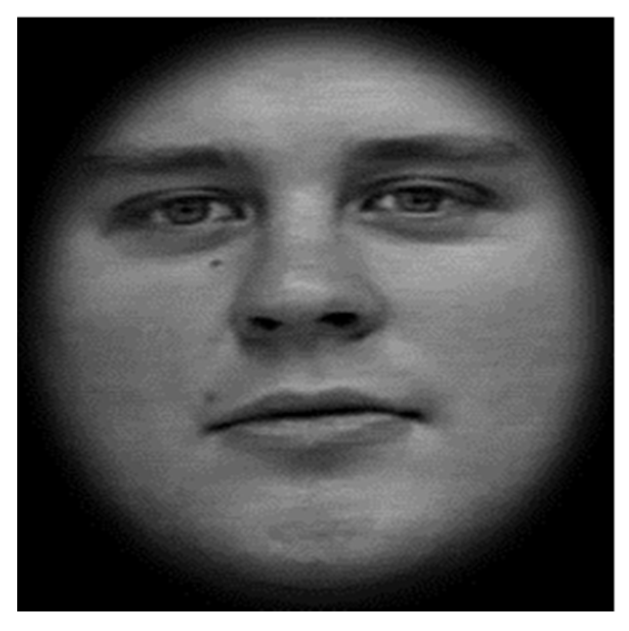 Ijerph 18 13273 g001