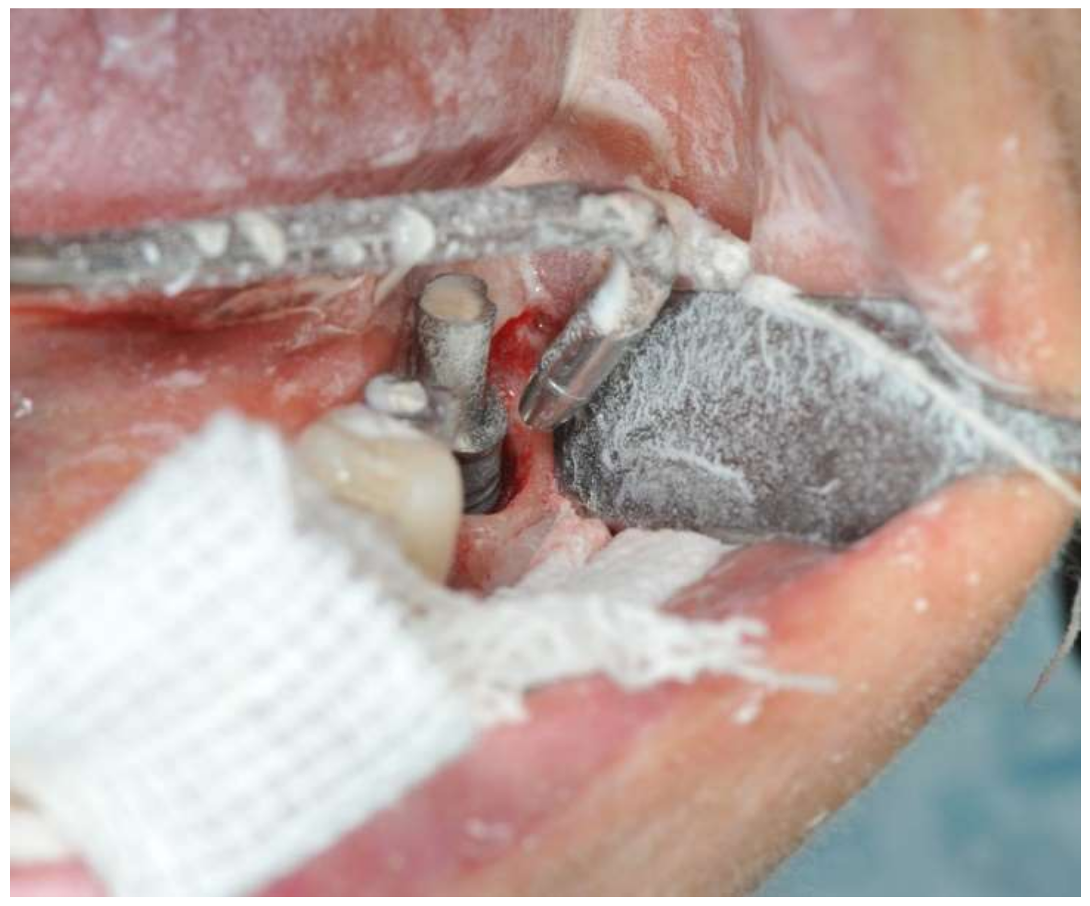 Ijerph 18 13286 g003