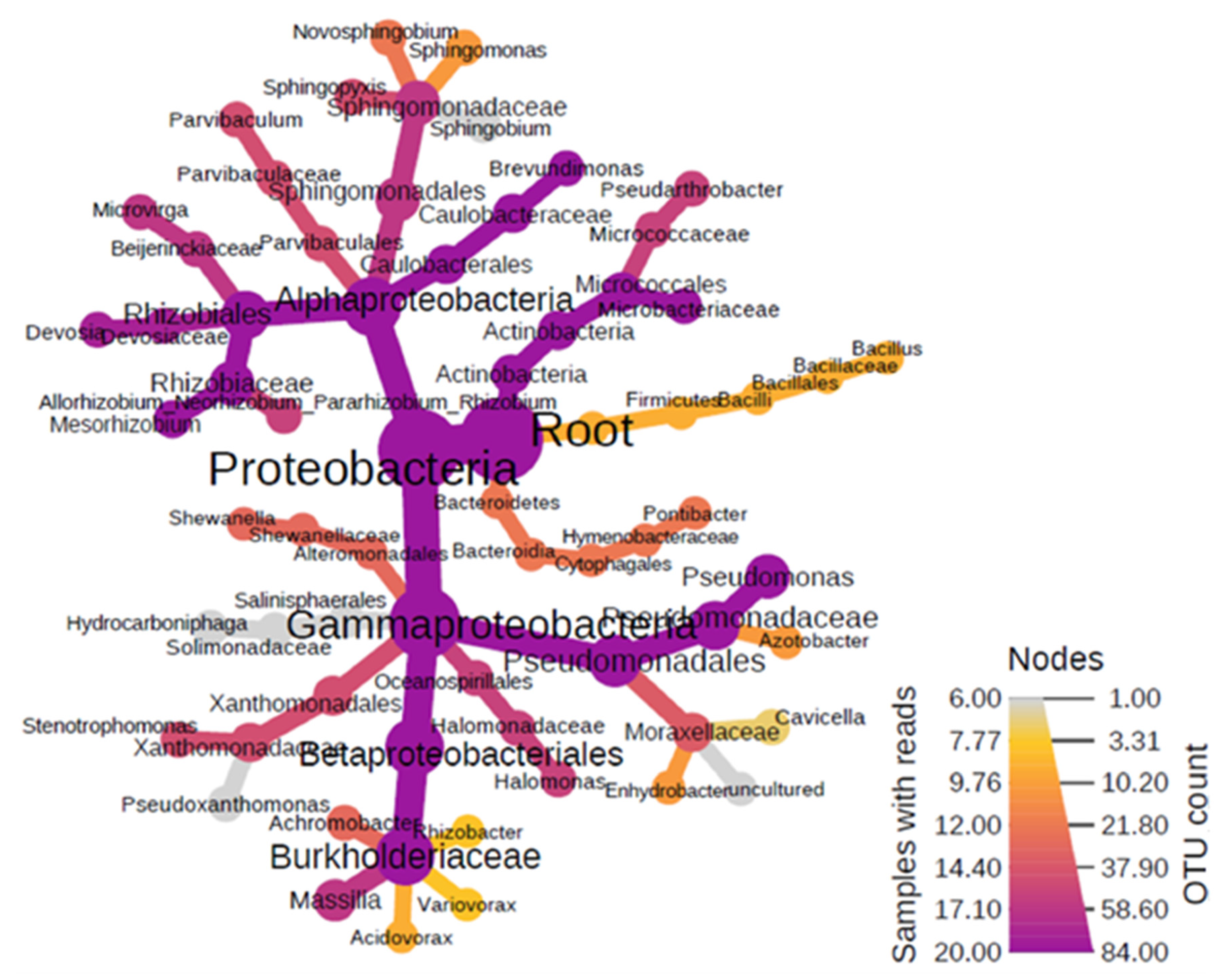 Ijerph 18 13309 g002
