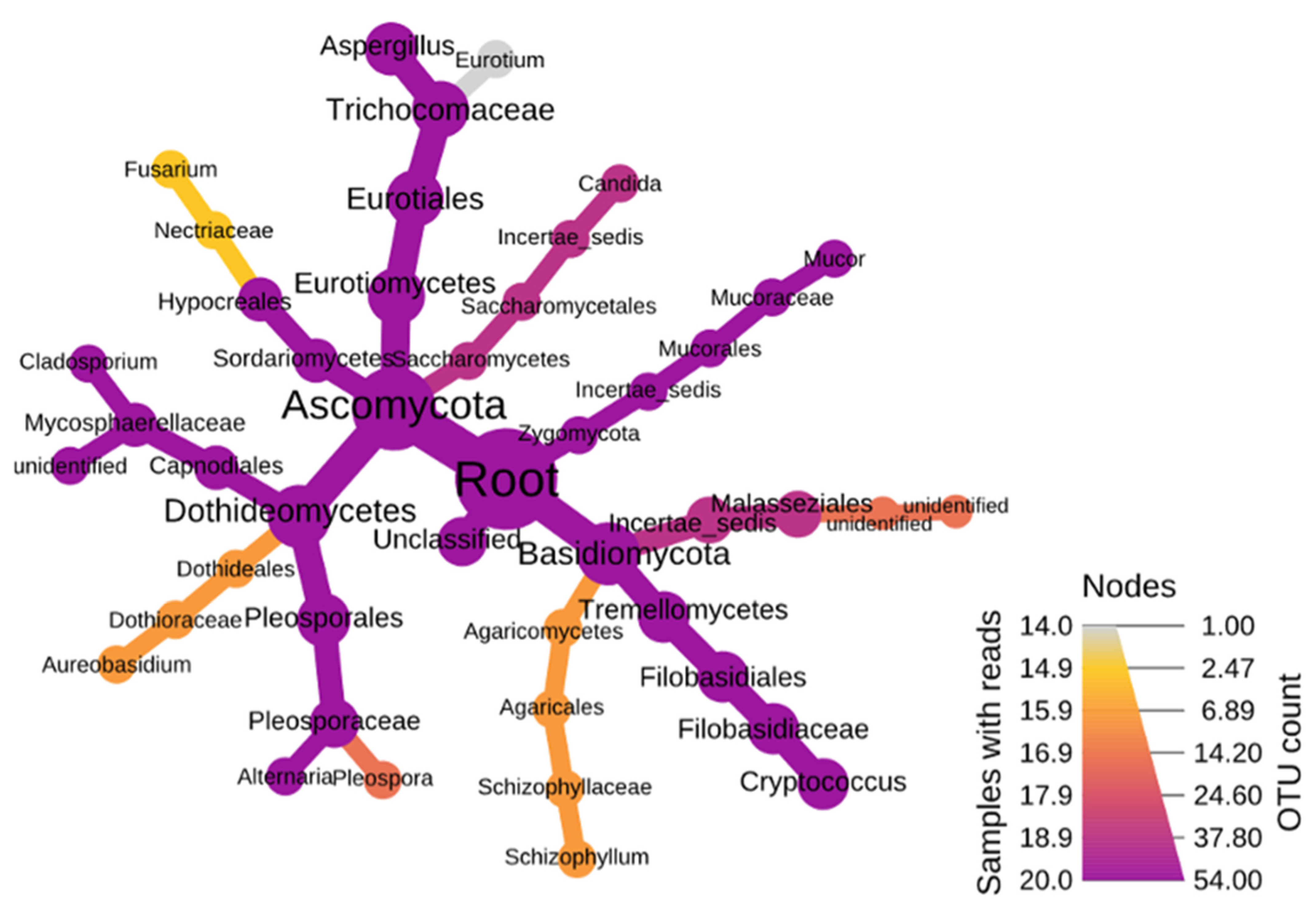 Ijerph 18 13309 g003