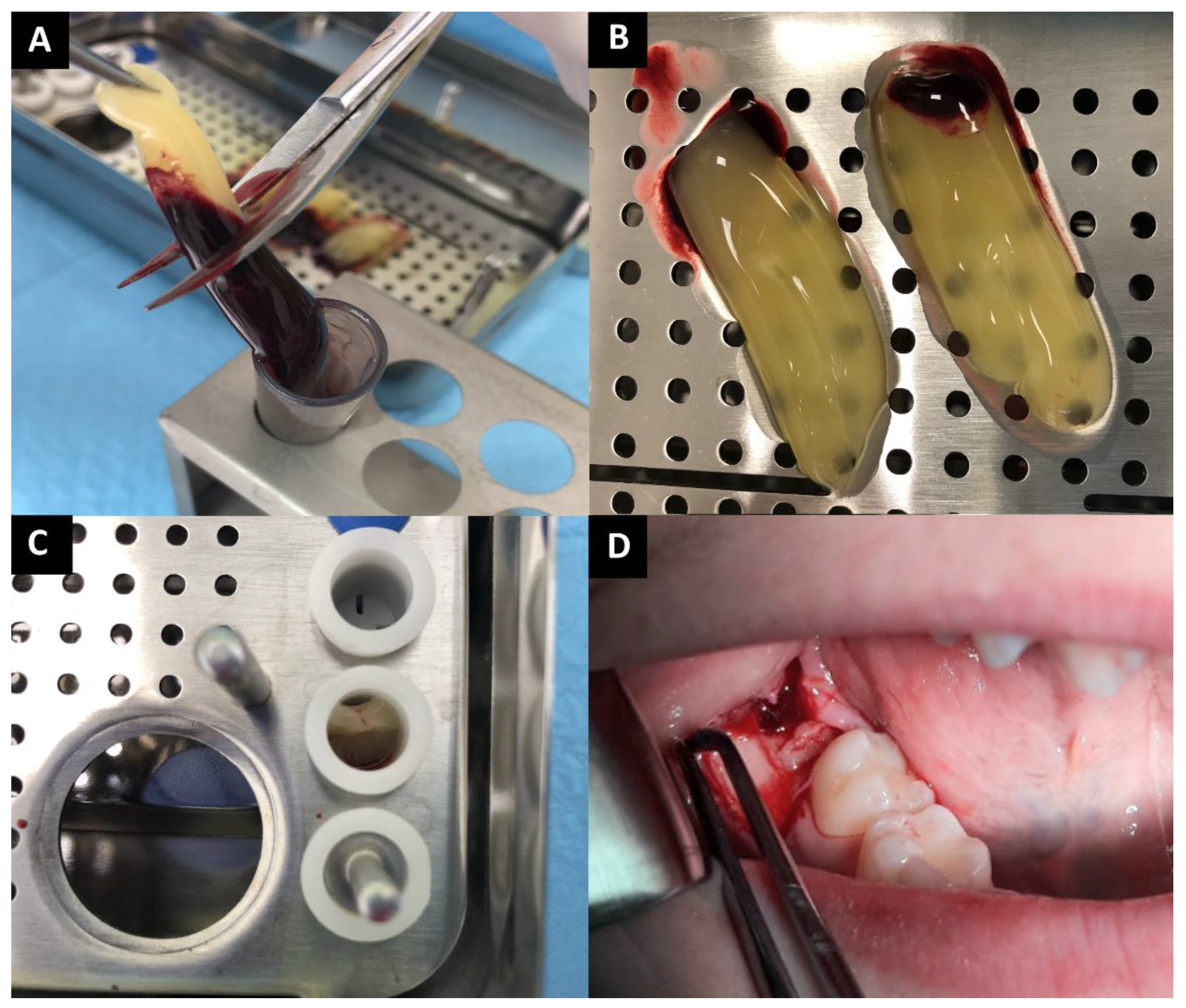 Ijerph 18 13343 g001