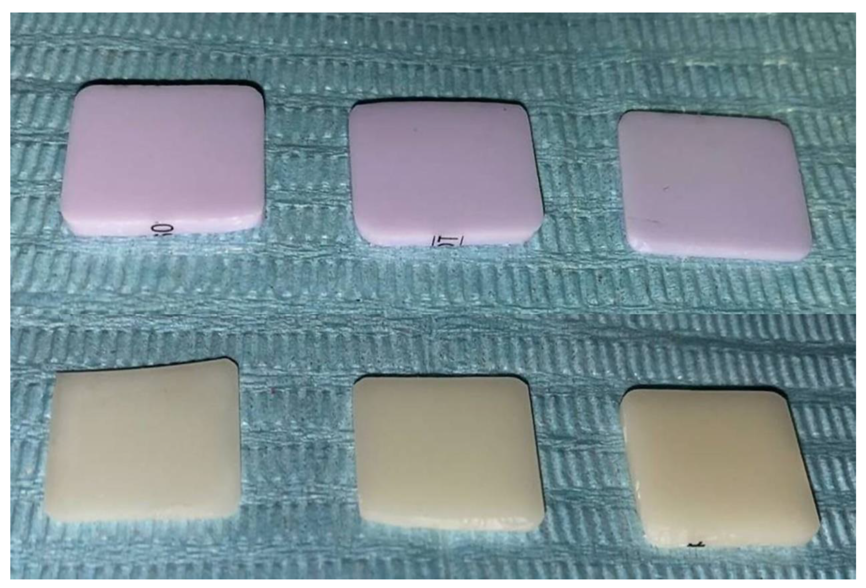 Ijerph 18 13359 g001