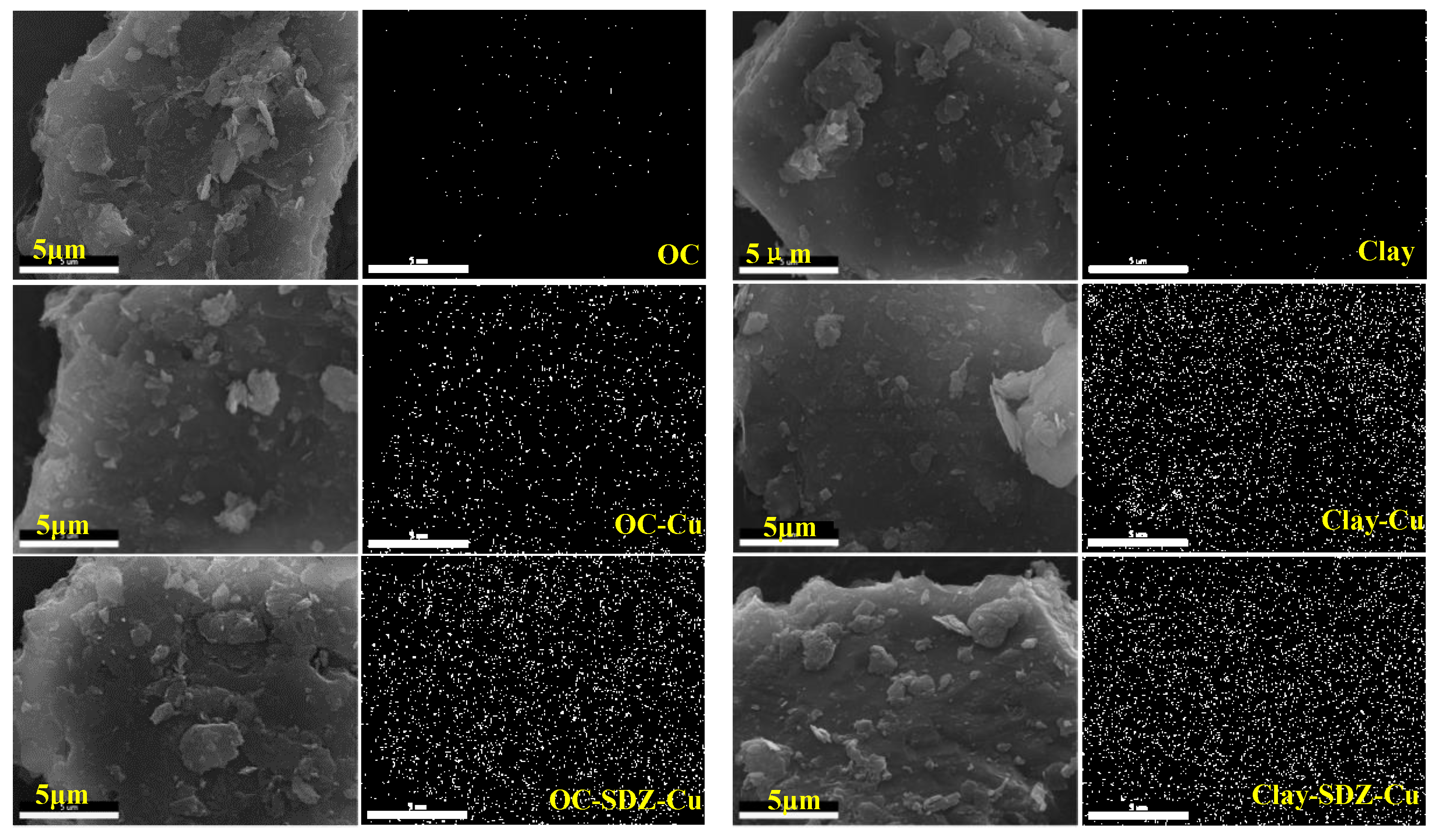 Ijerph 18 13383 g004