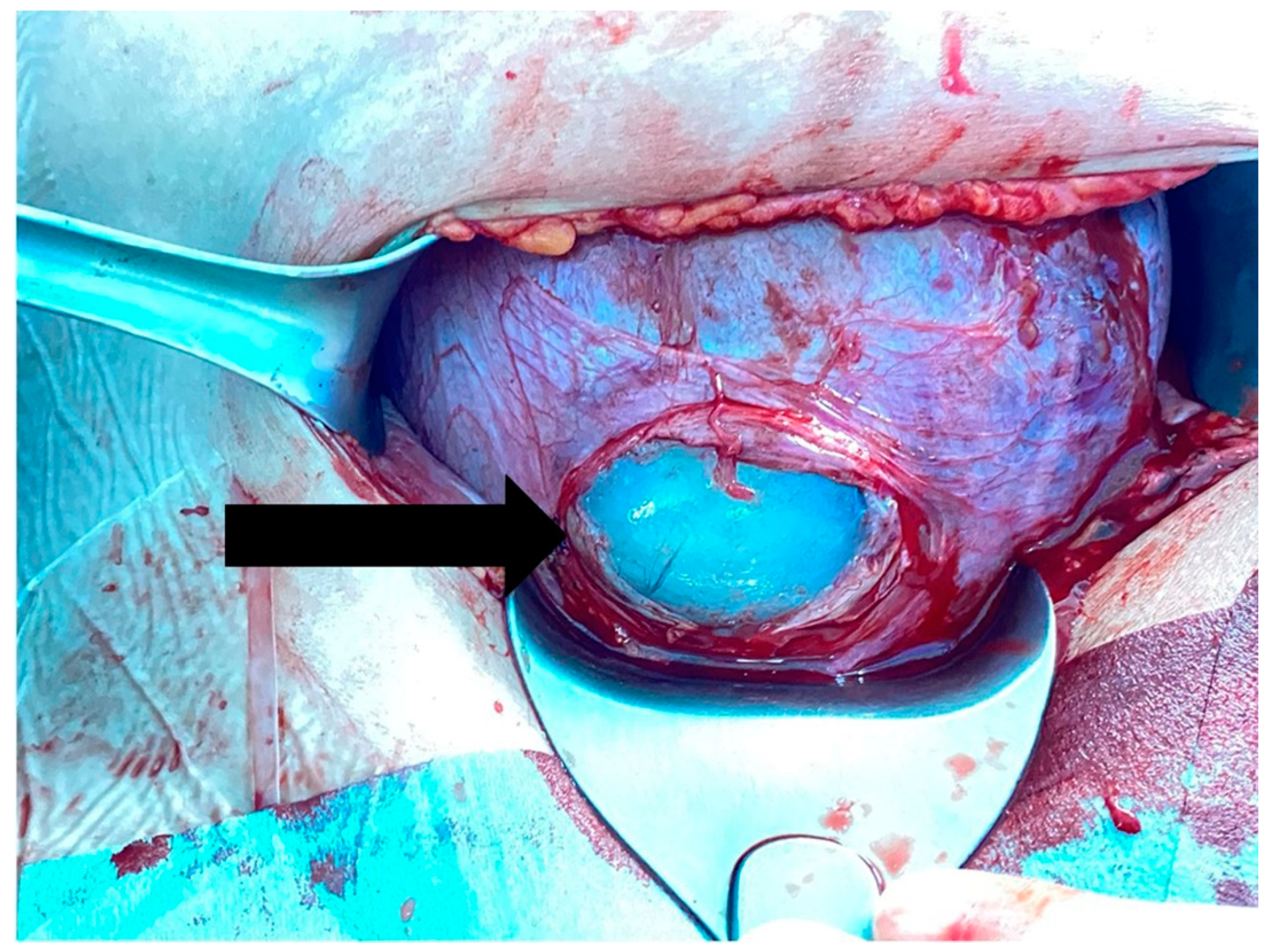 Ijerph 19 00107 g001