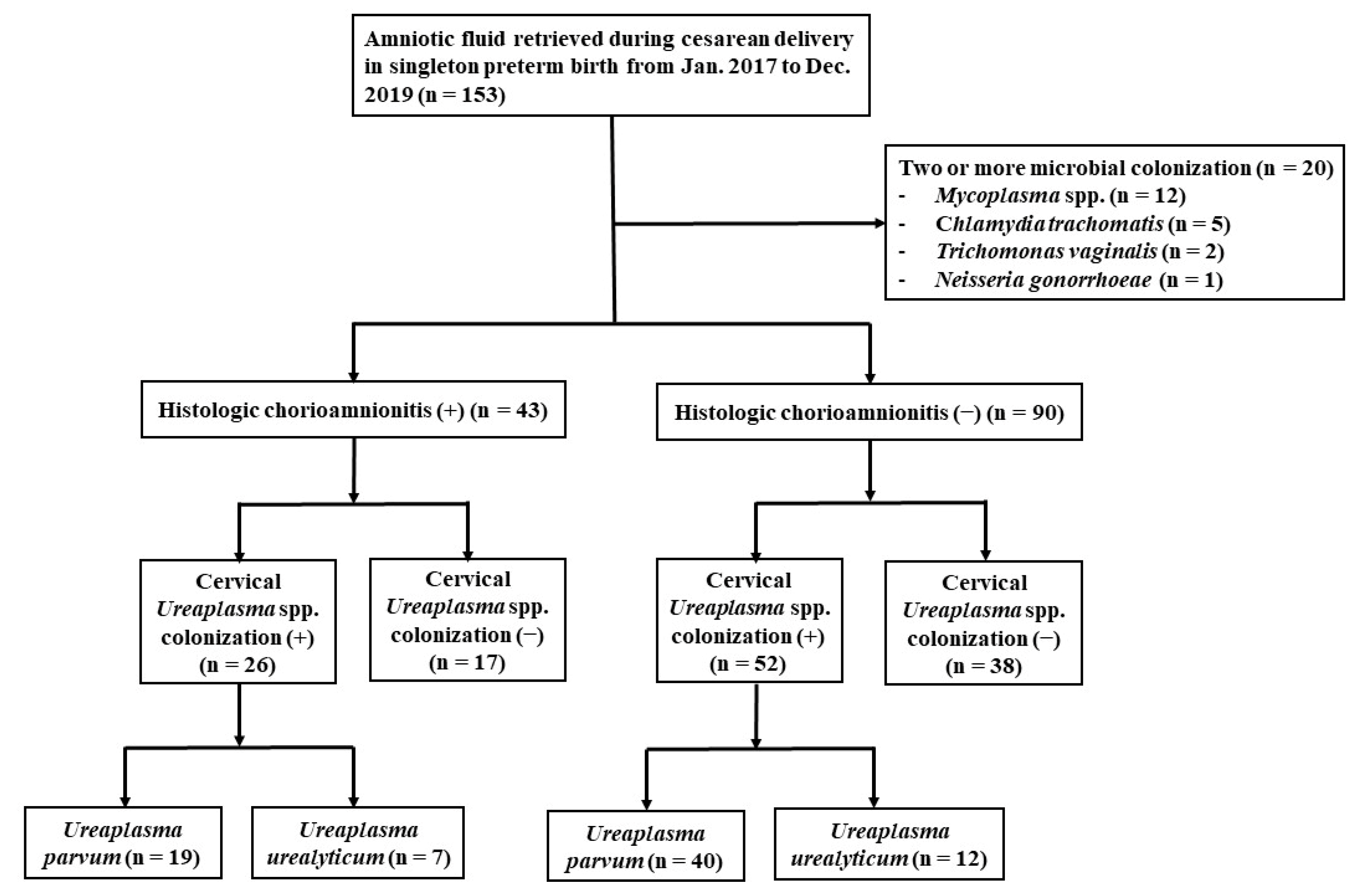 Ijerph 19 00107 g002