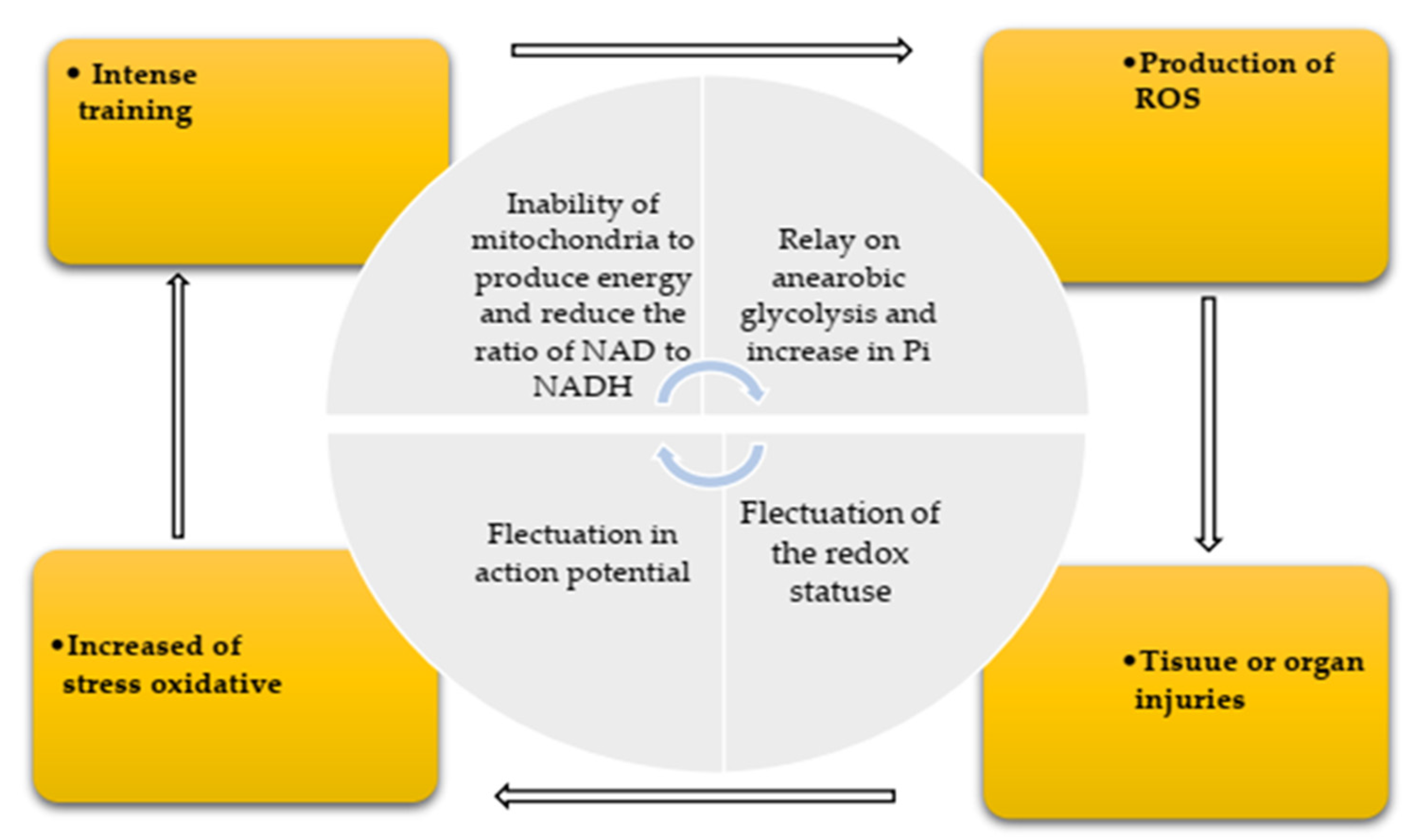 Ijerph 19 00218 g002