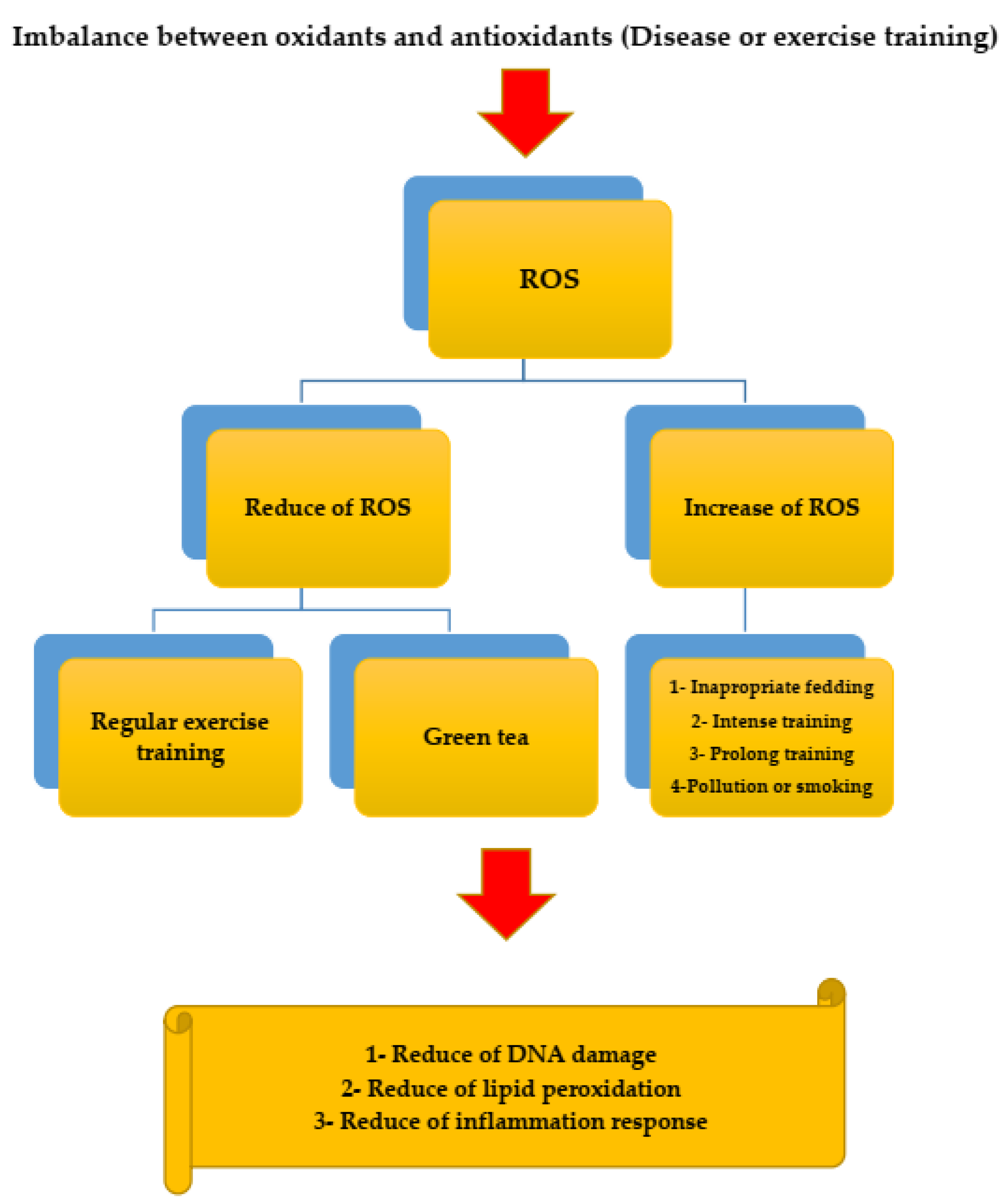 Ijerph 19 00218 g003