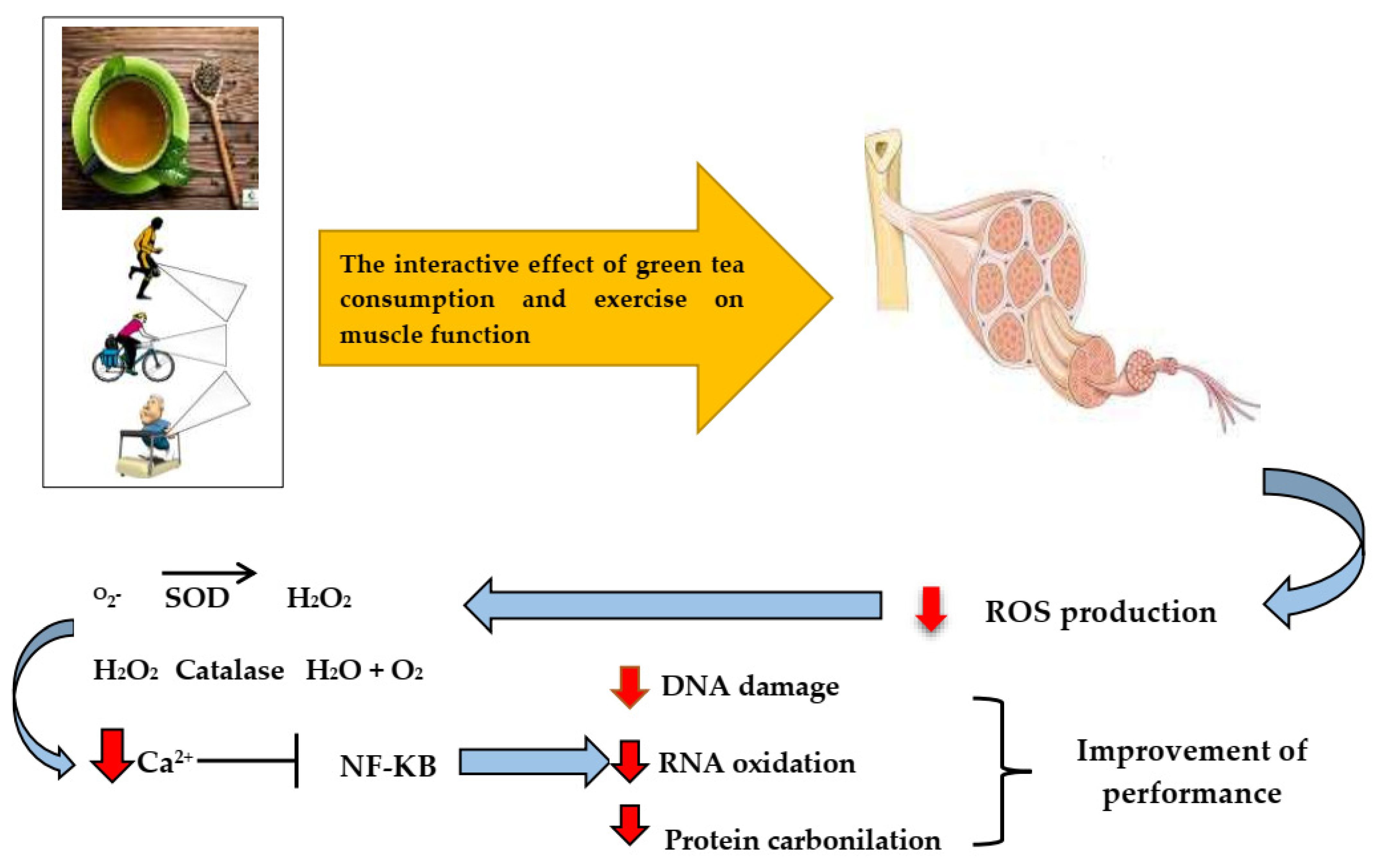 Ijerph 19 00218 g004