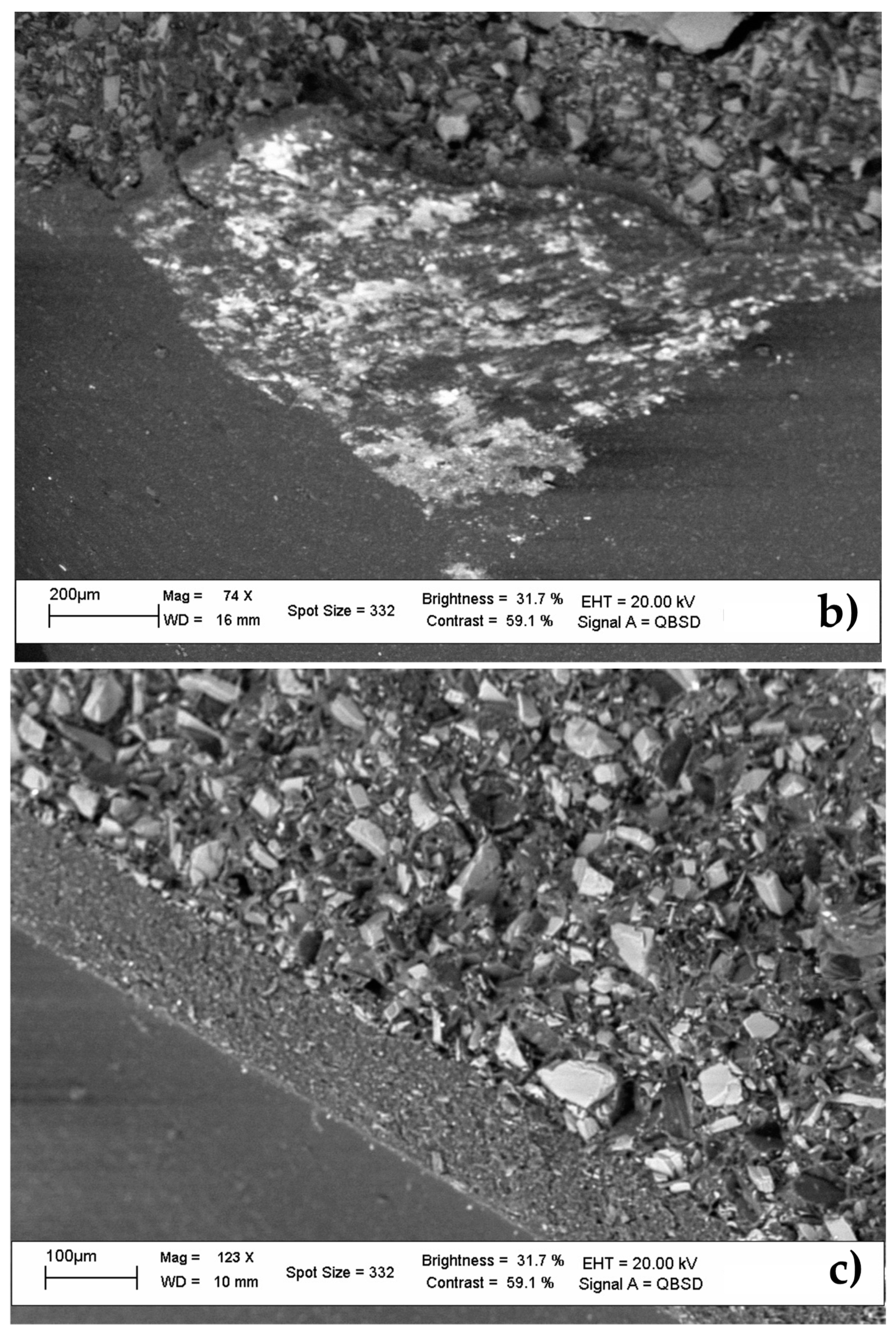 Ijerph 19 00236 g002b