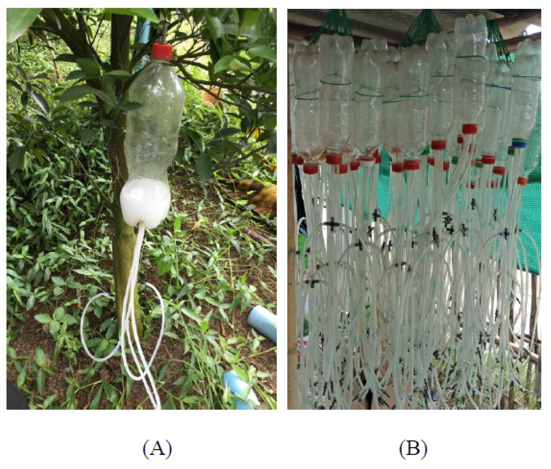 Ijerph 19 00246 g001 Ijerph 19 00246 g001