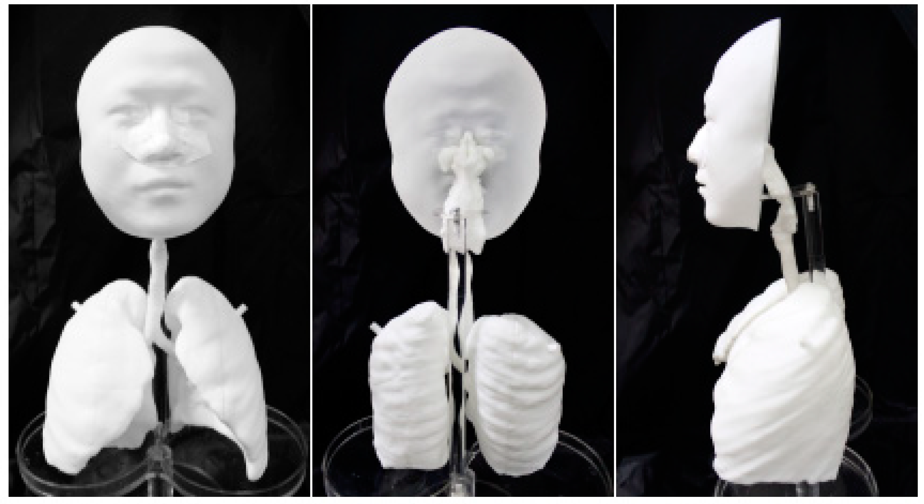 Ijerph 19 00264 g001