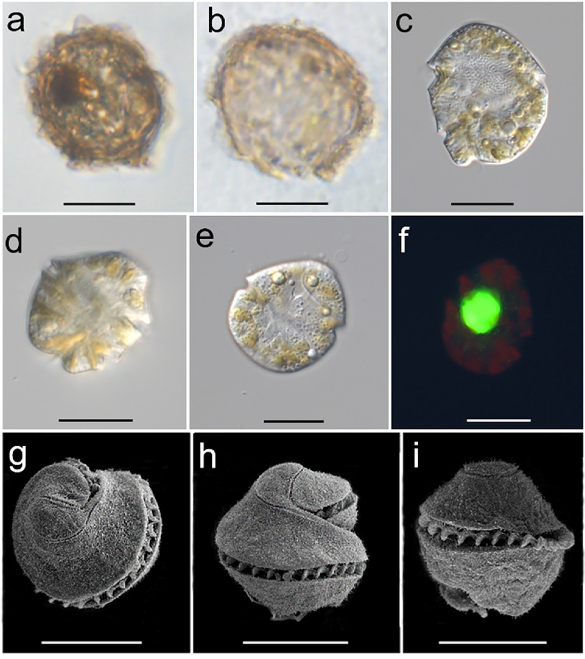 Ijerph 19 00299 g001