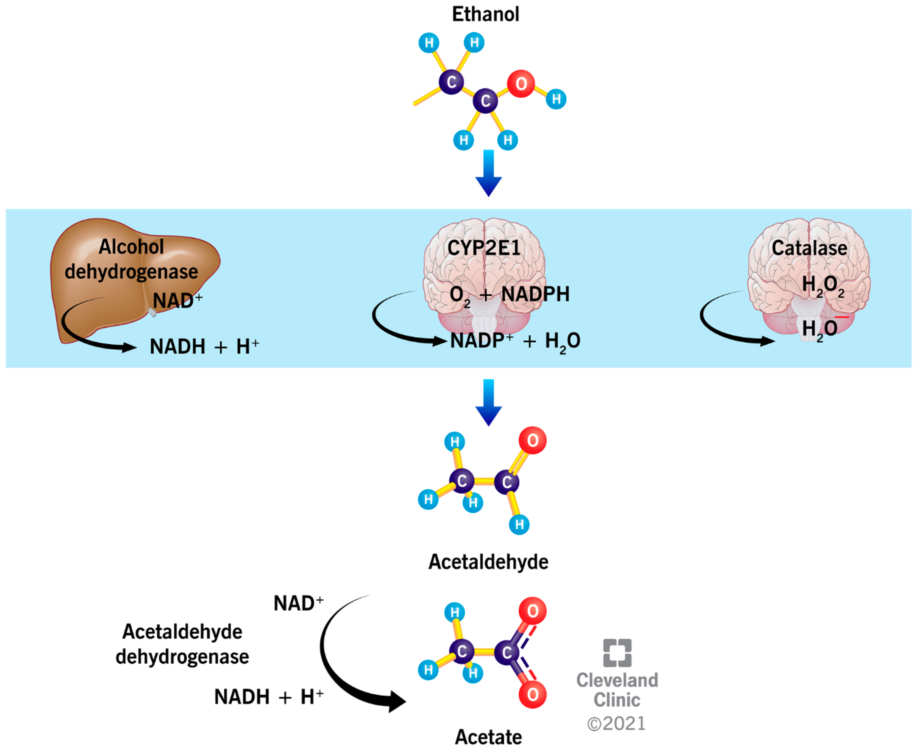 Ijerph 19 00328 g001