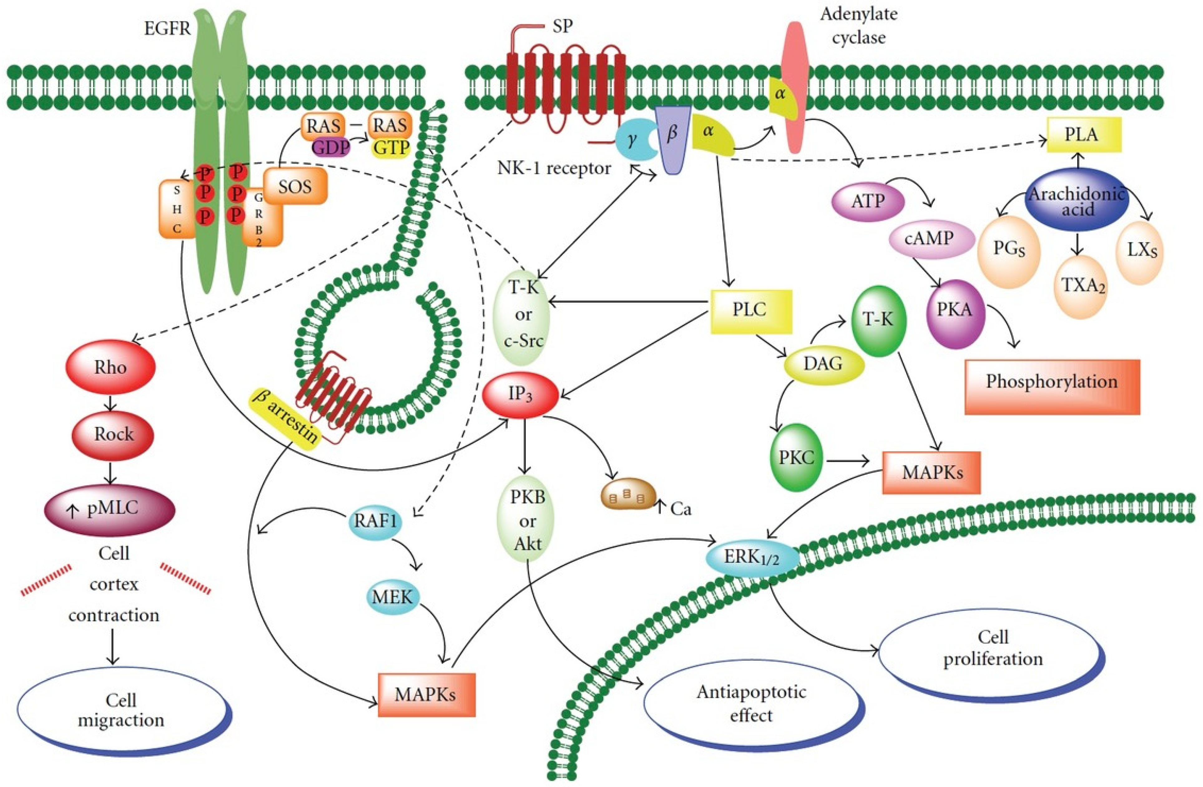 Ijerph 19 00375 g001