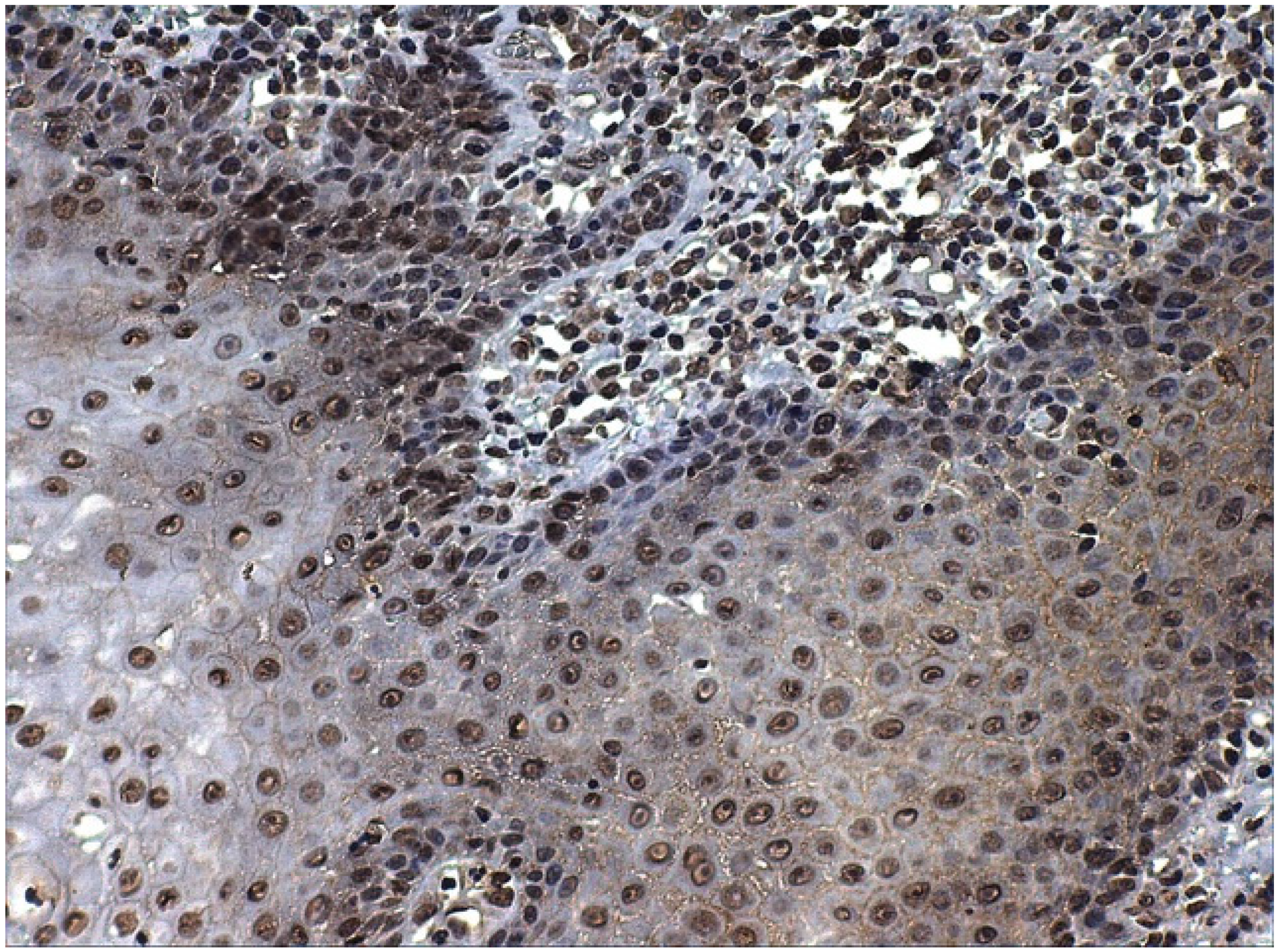 Ijerph 19 00375 g003