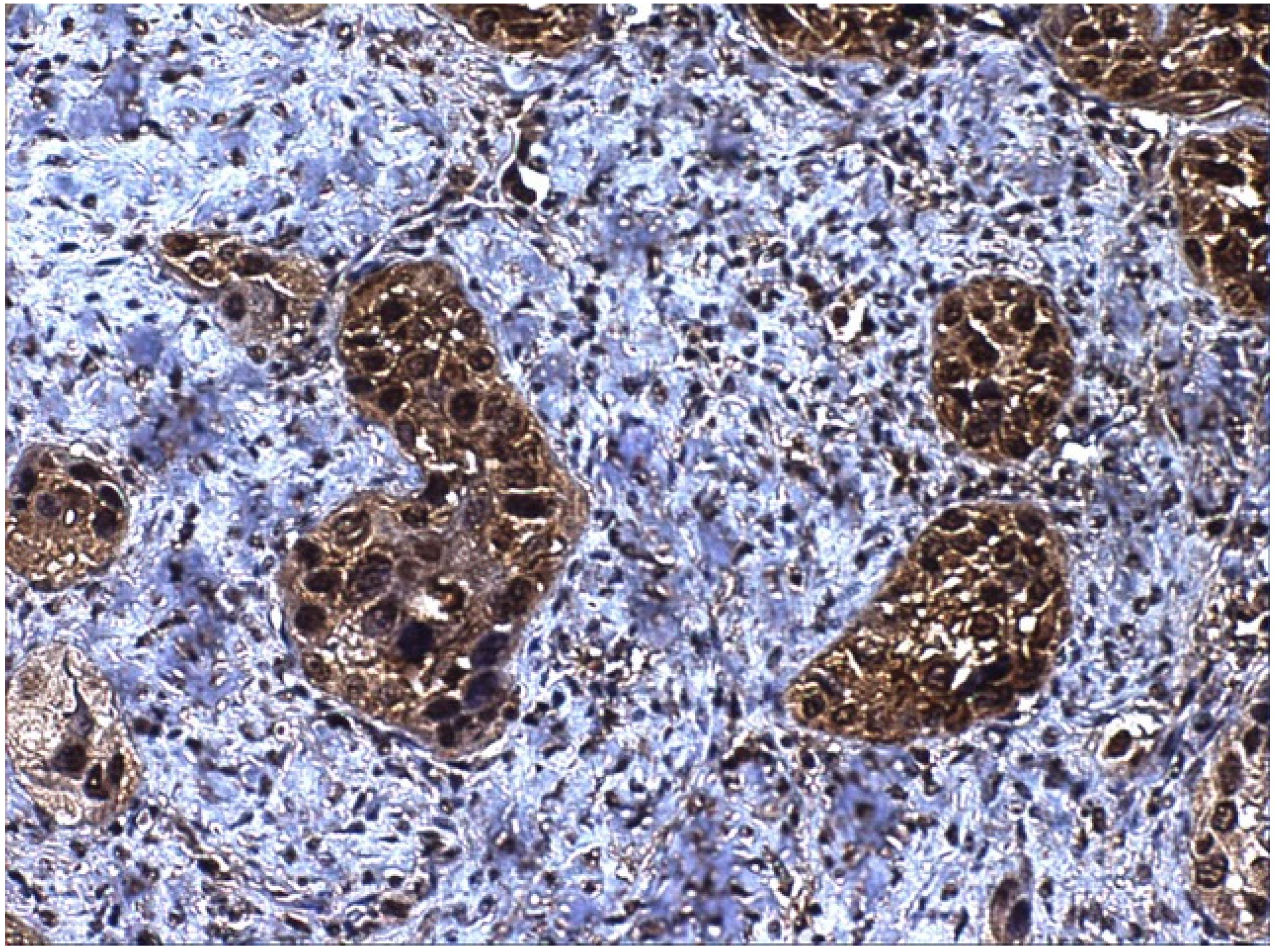 Ijerph 19 00375 g004