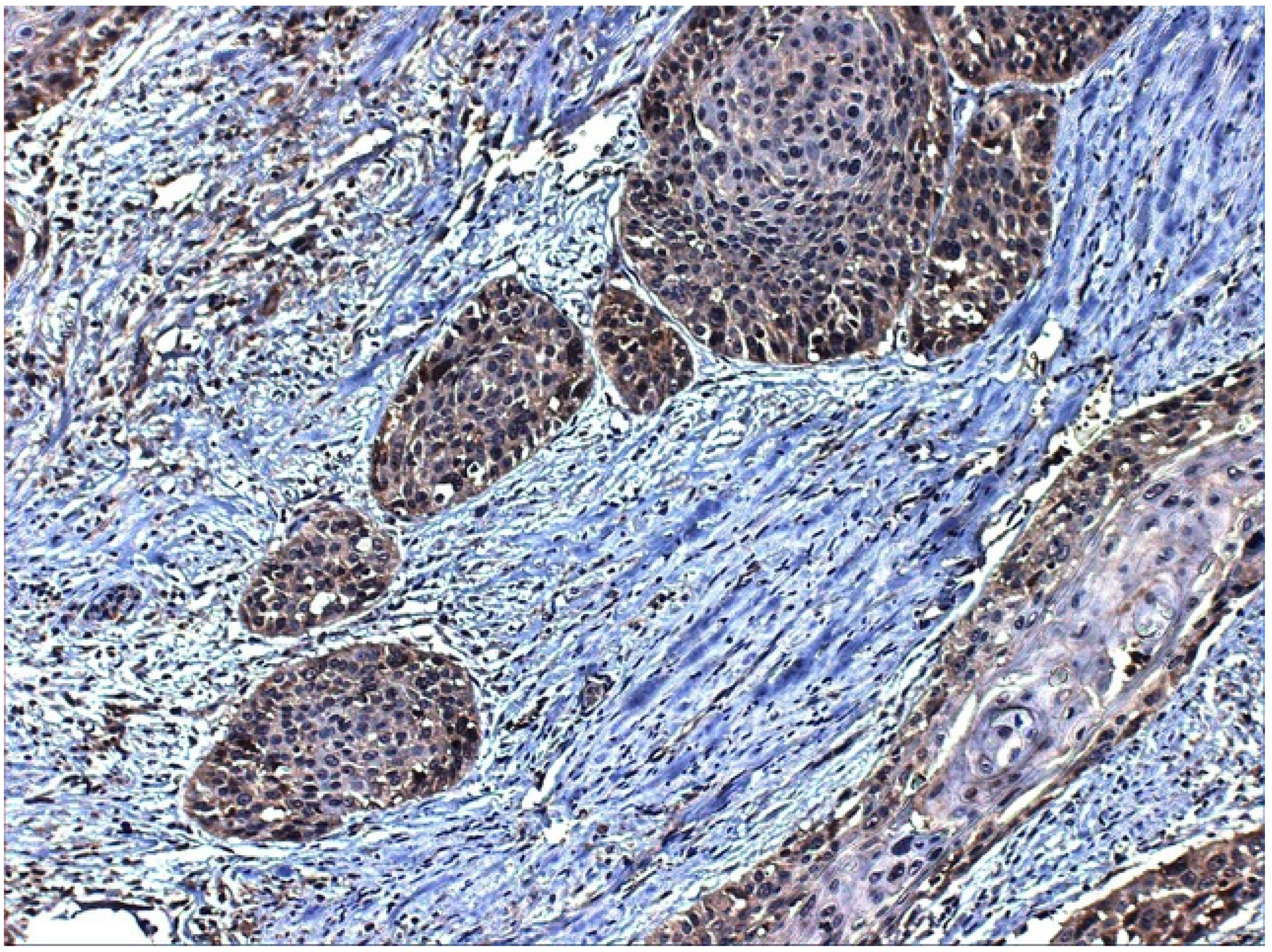 Ijerph 19 00375 g005