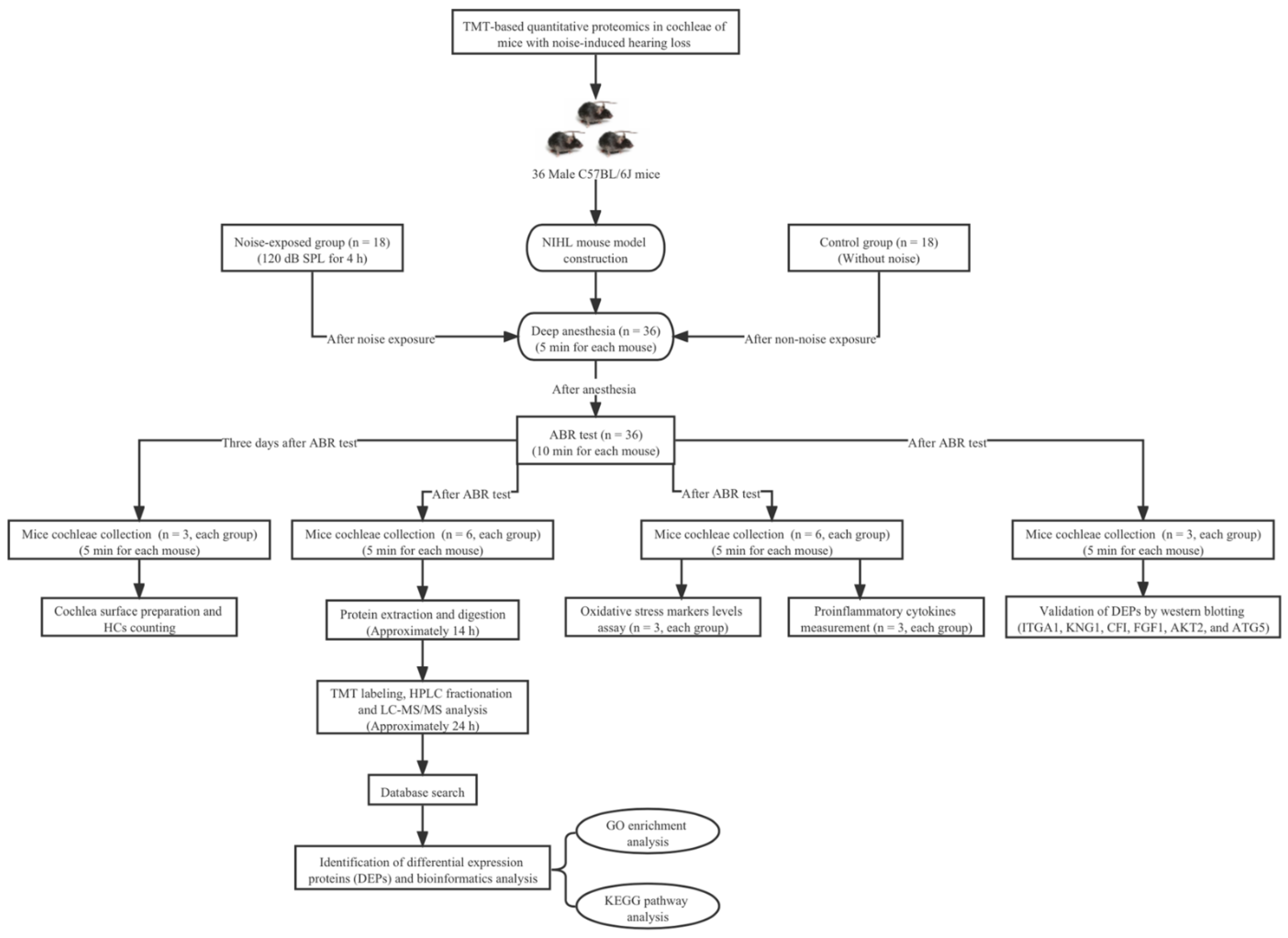 Ijerph 19 00382 g001