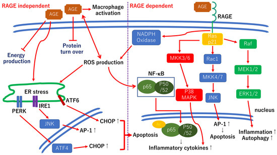 Ijerph 19 00439 g004