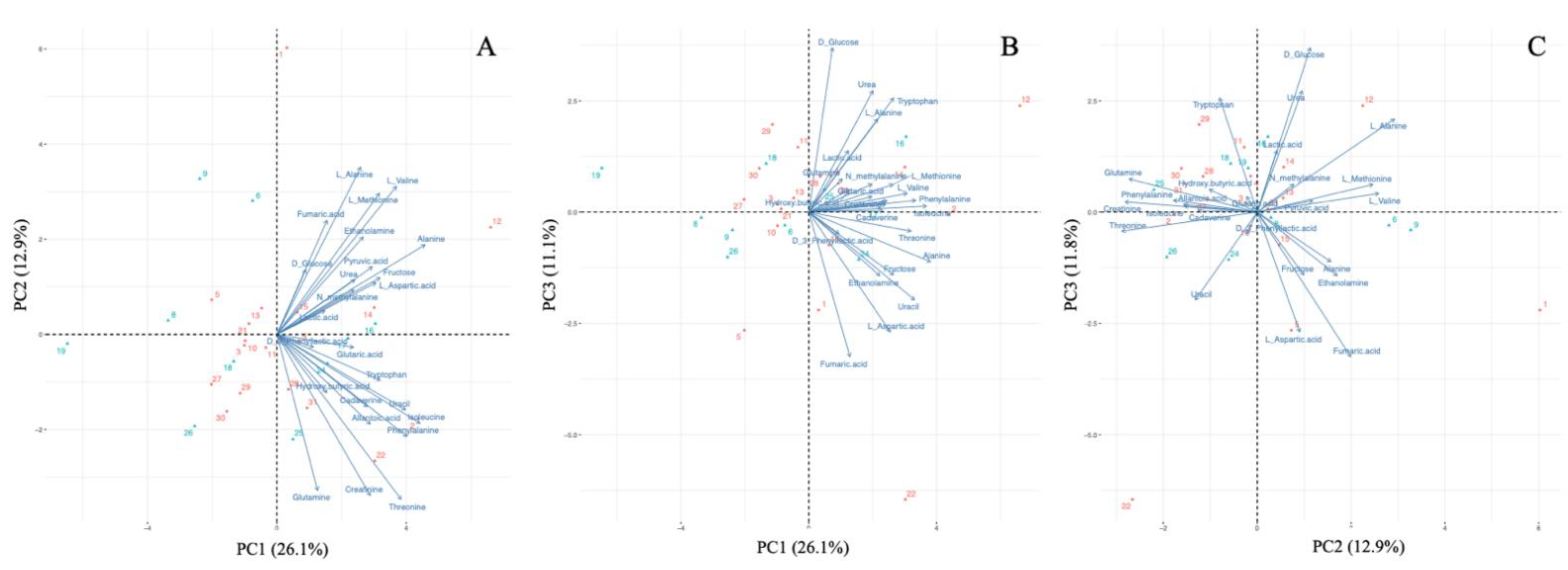 Ijerph 19 00541 g001