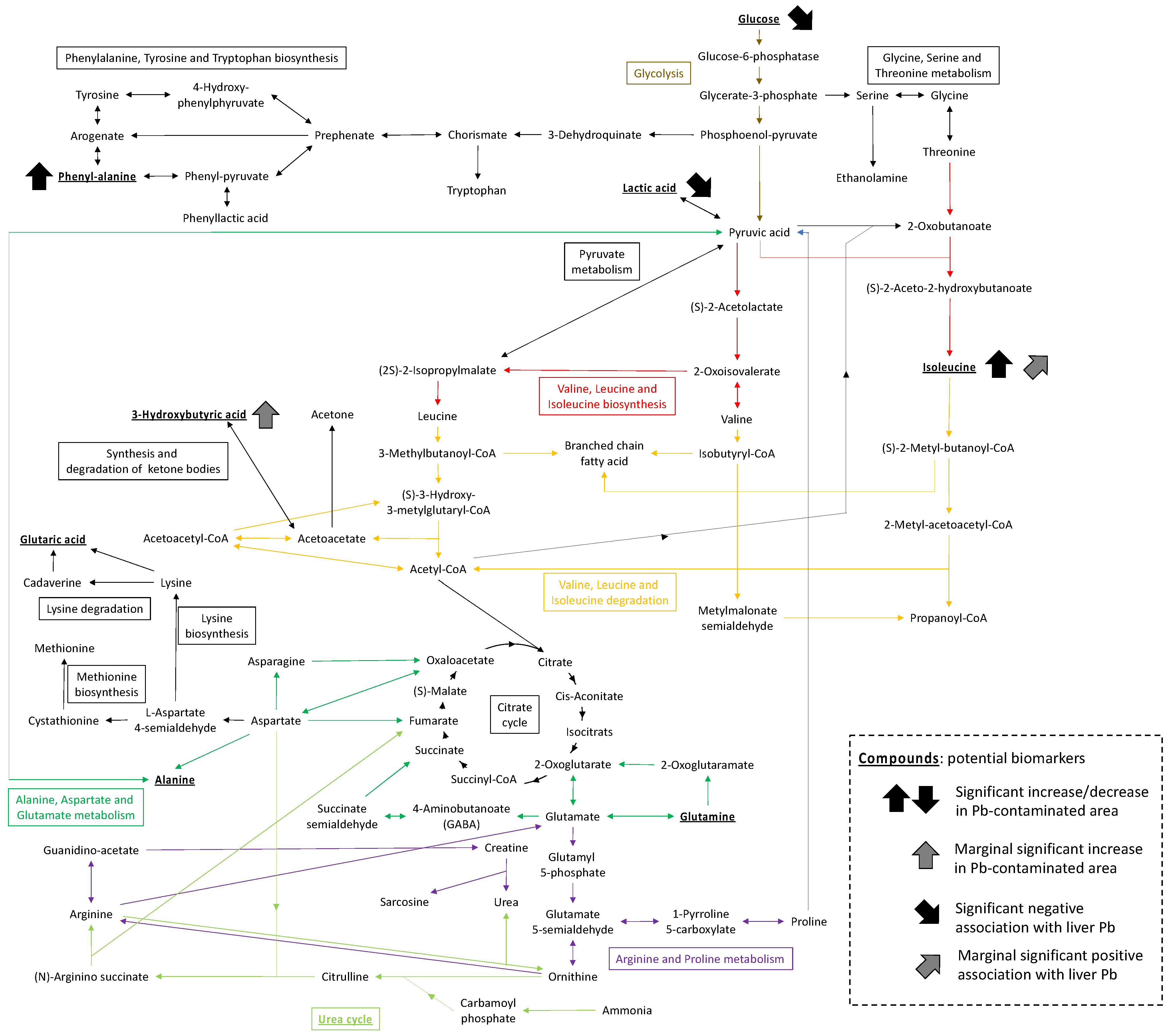 Ijerph 19 00541 g005