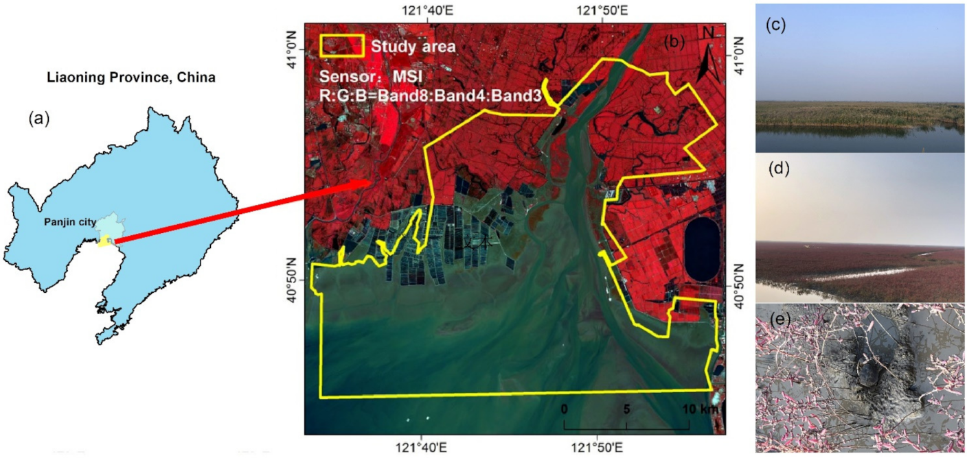 Ijerph 19 00546 g001