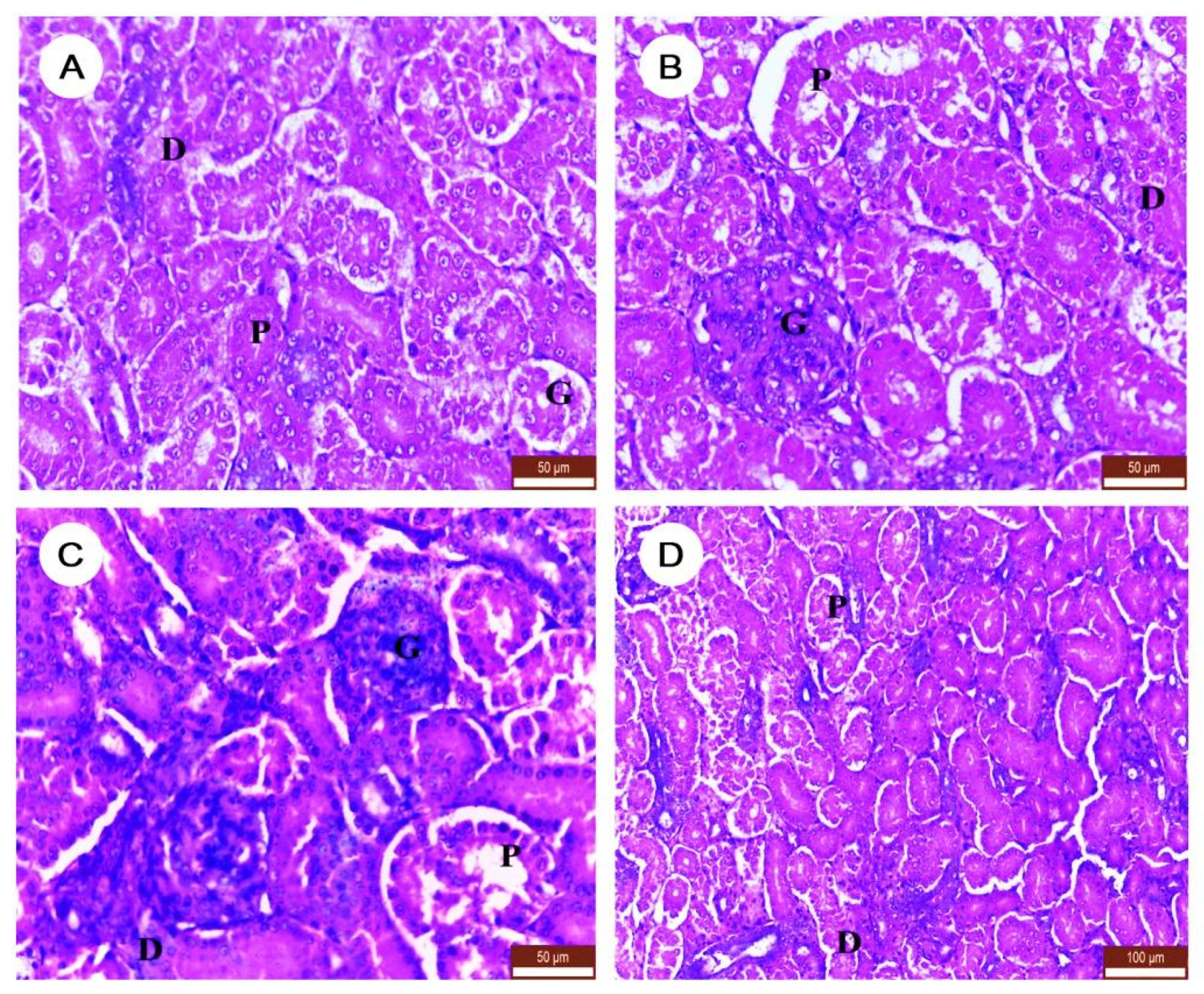 Ijerph 19 00638 g006