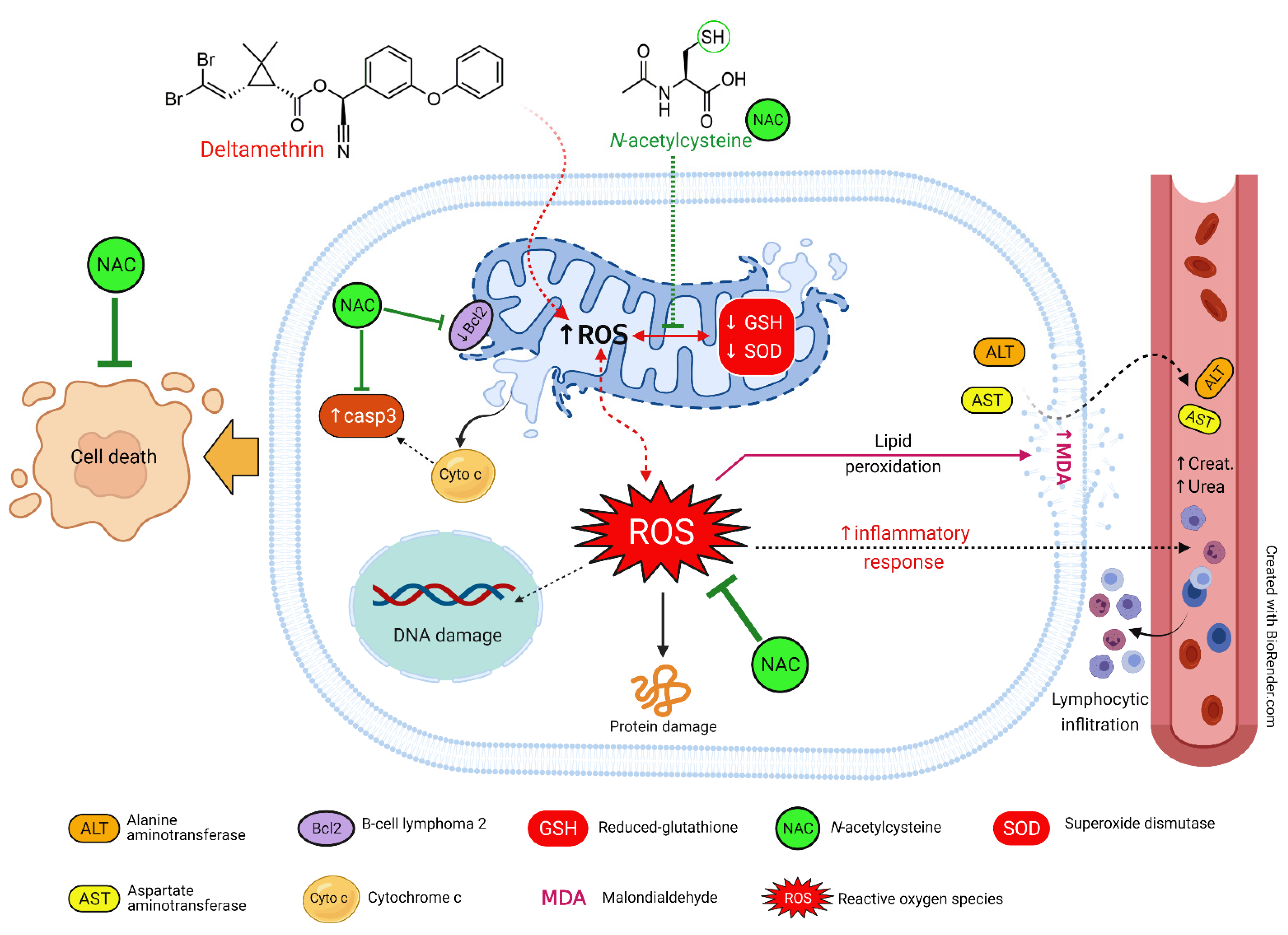 Ijerph 19 00638 g007