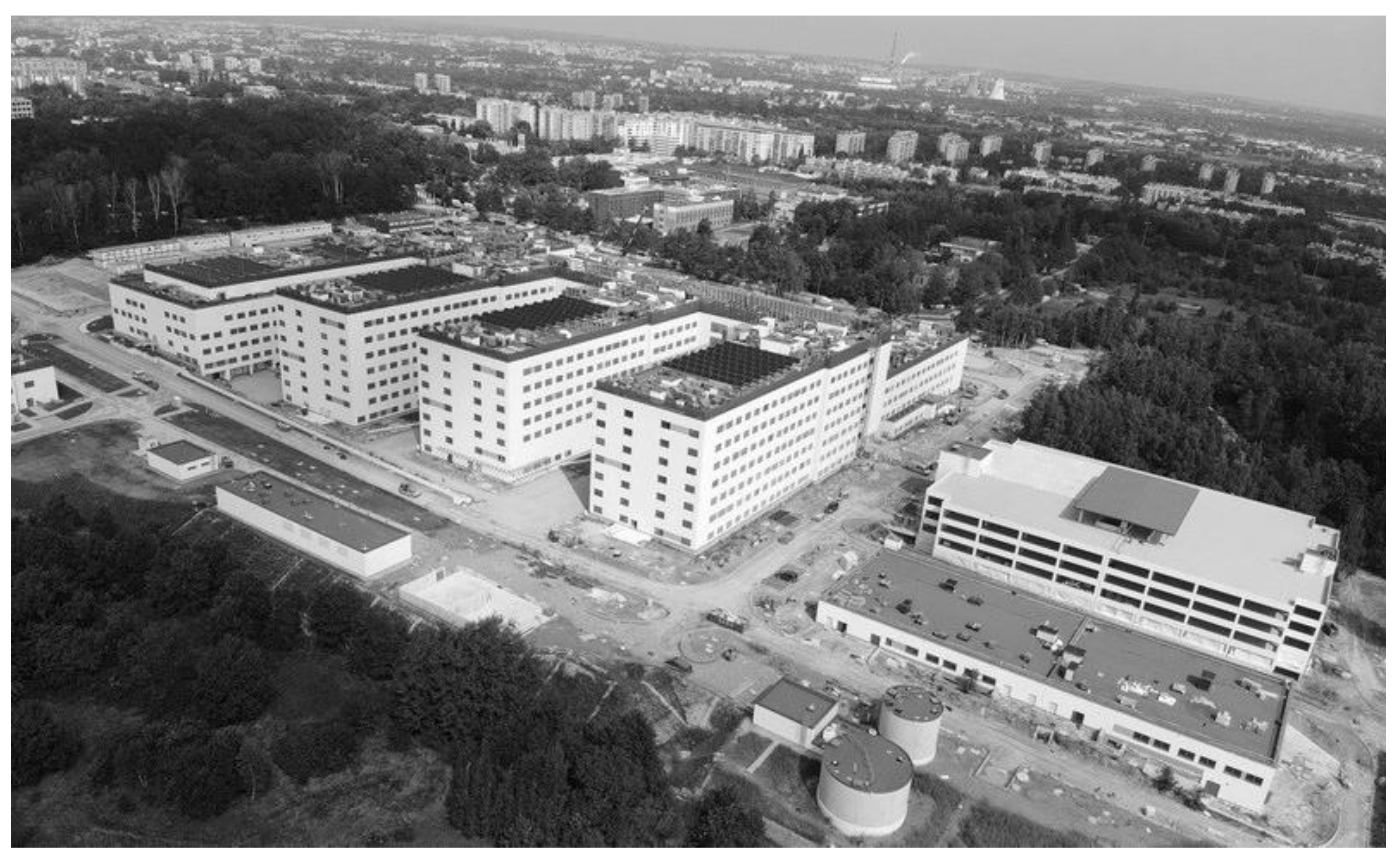 Ijerph 19 00675 g005