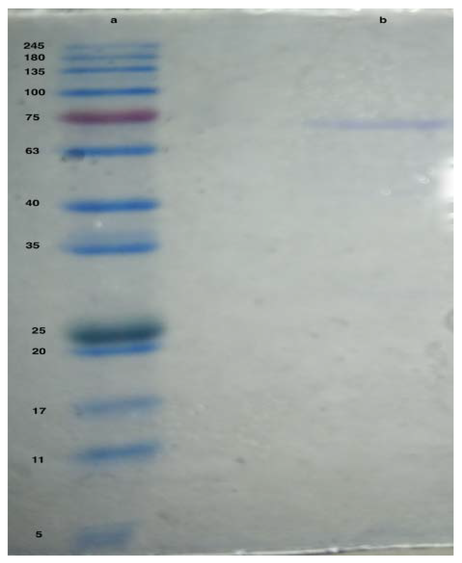 Ijerph 19 00680 g002