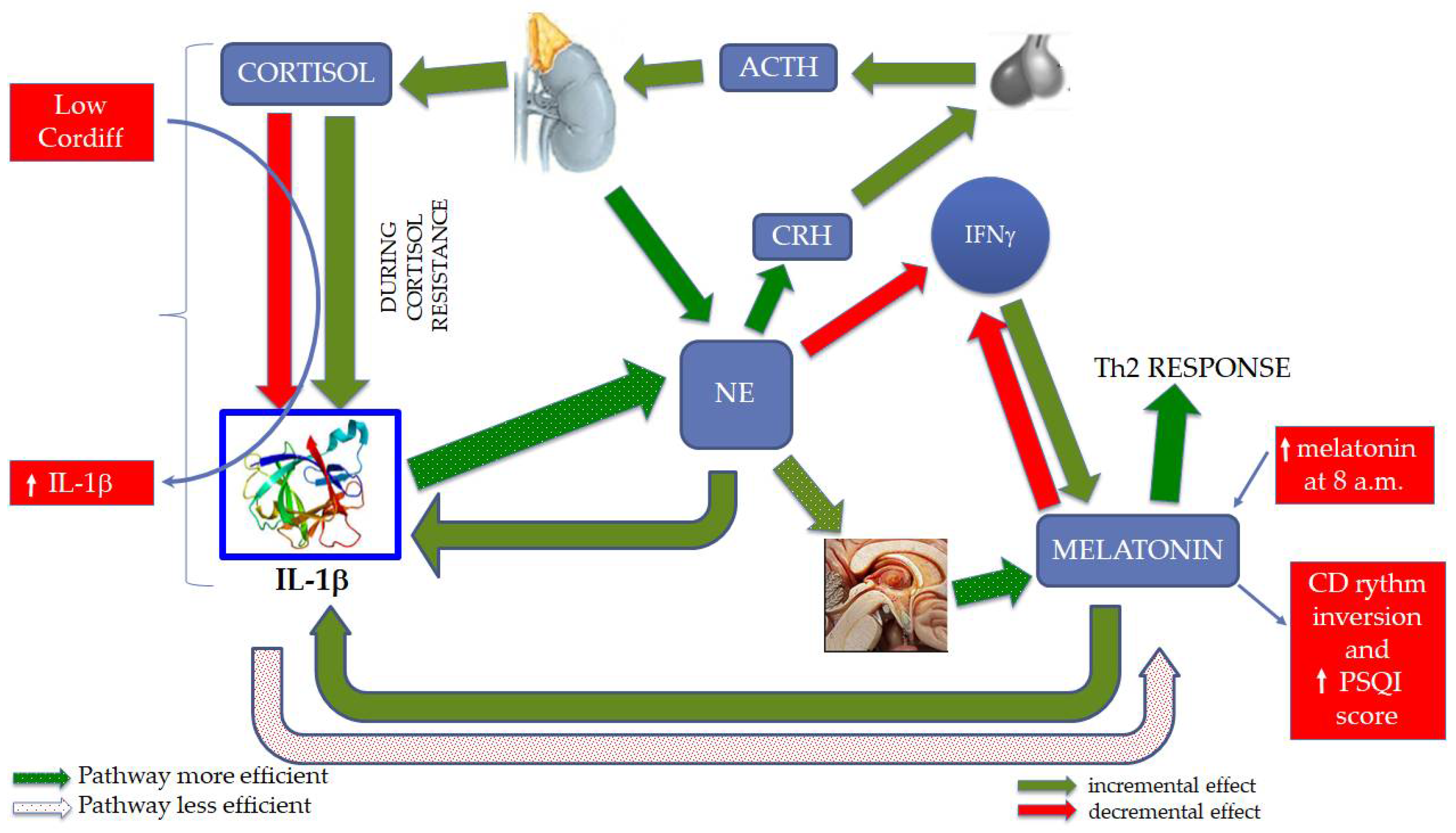 Ijerph 19 00699 g005