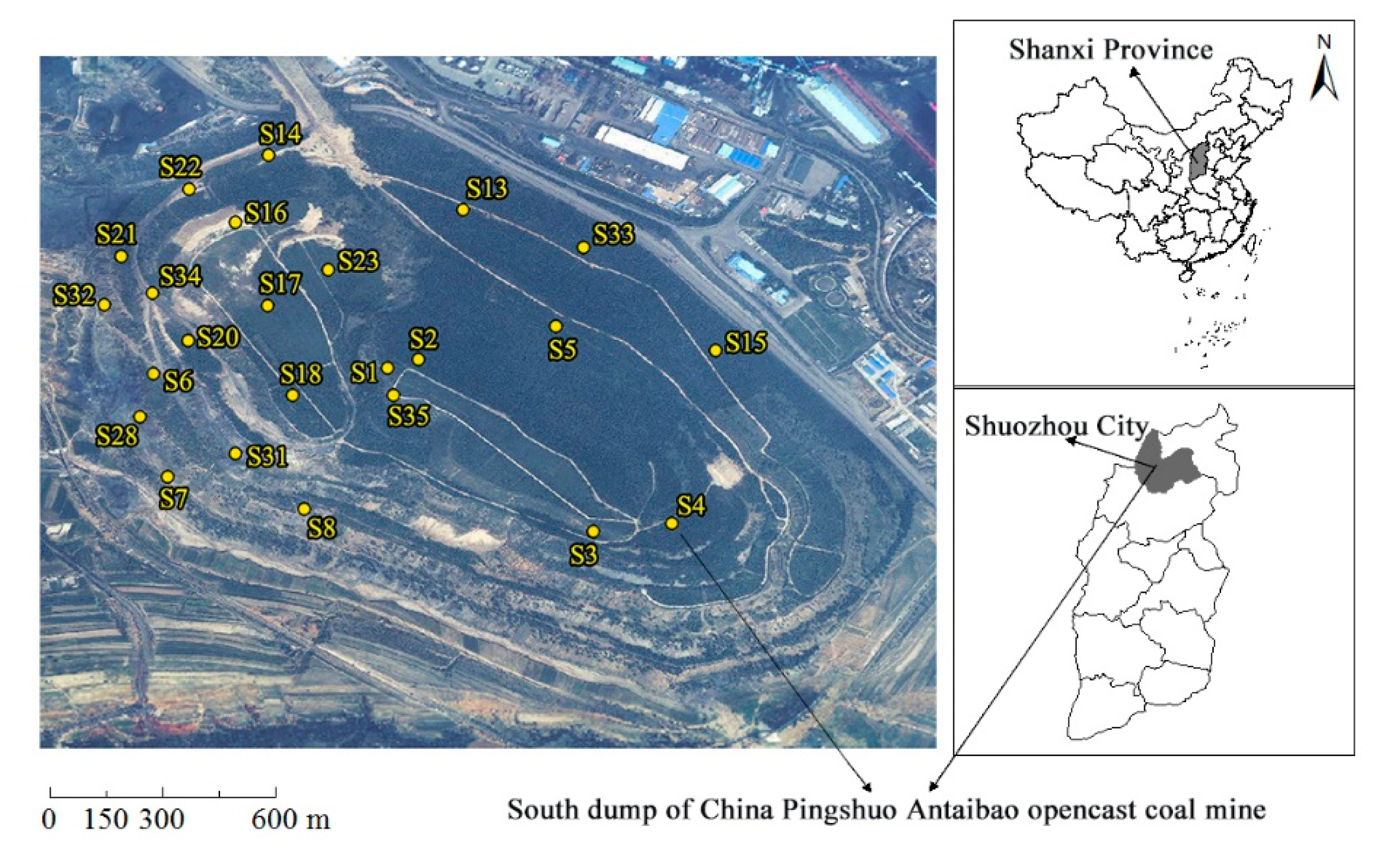 Ijerph 19 00706 g001
