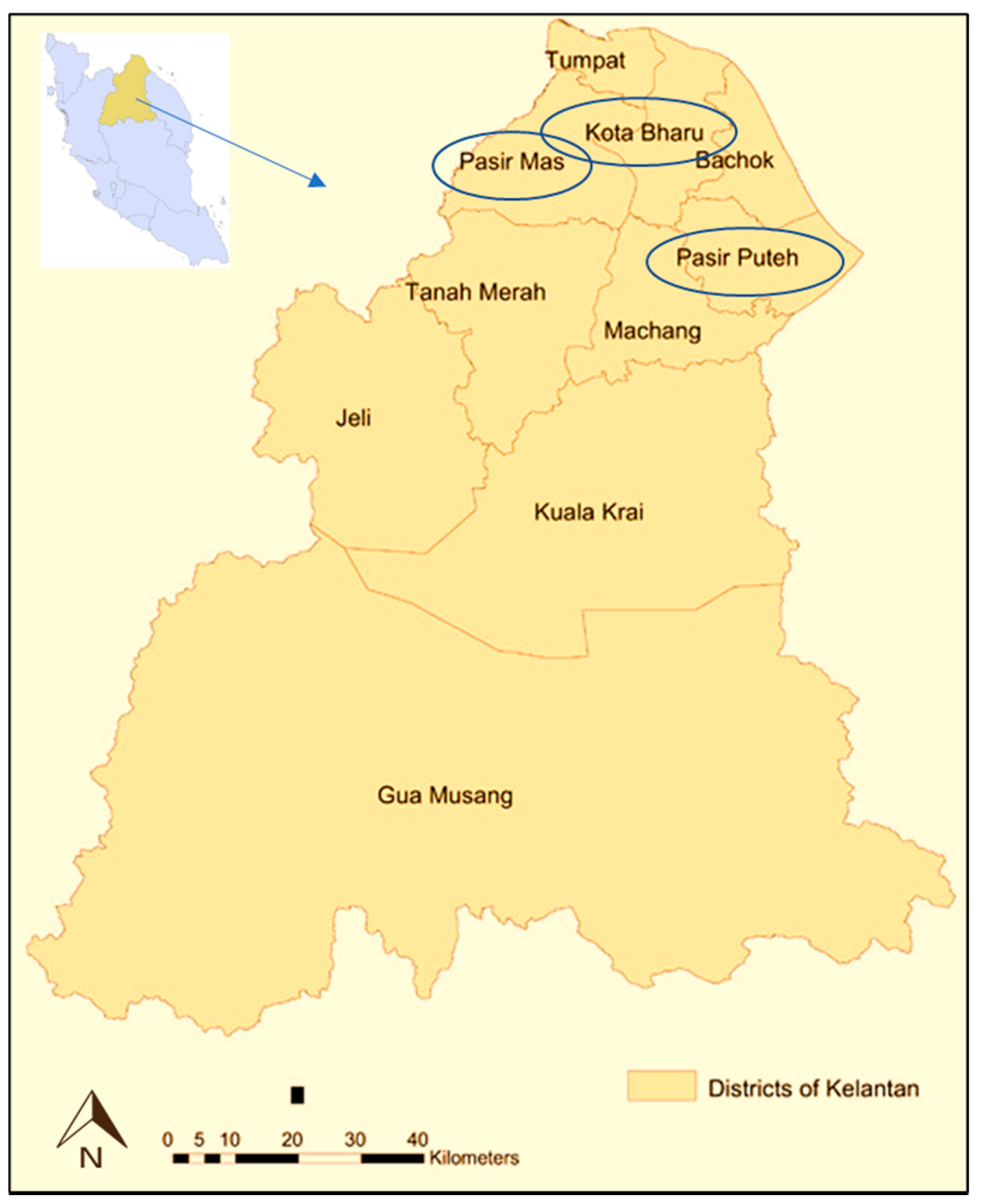 Ijerph 19 00739 g001