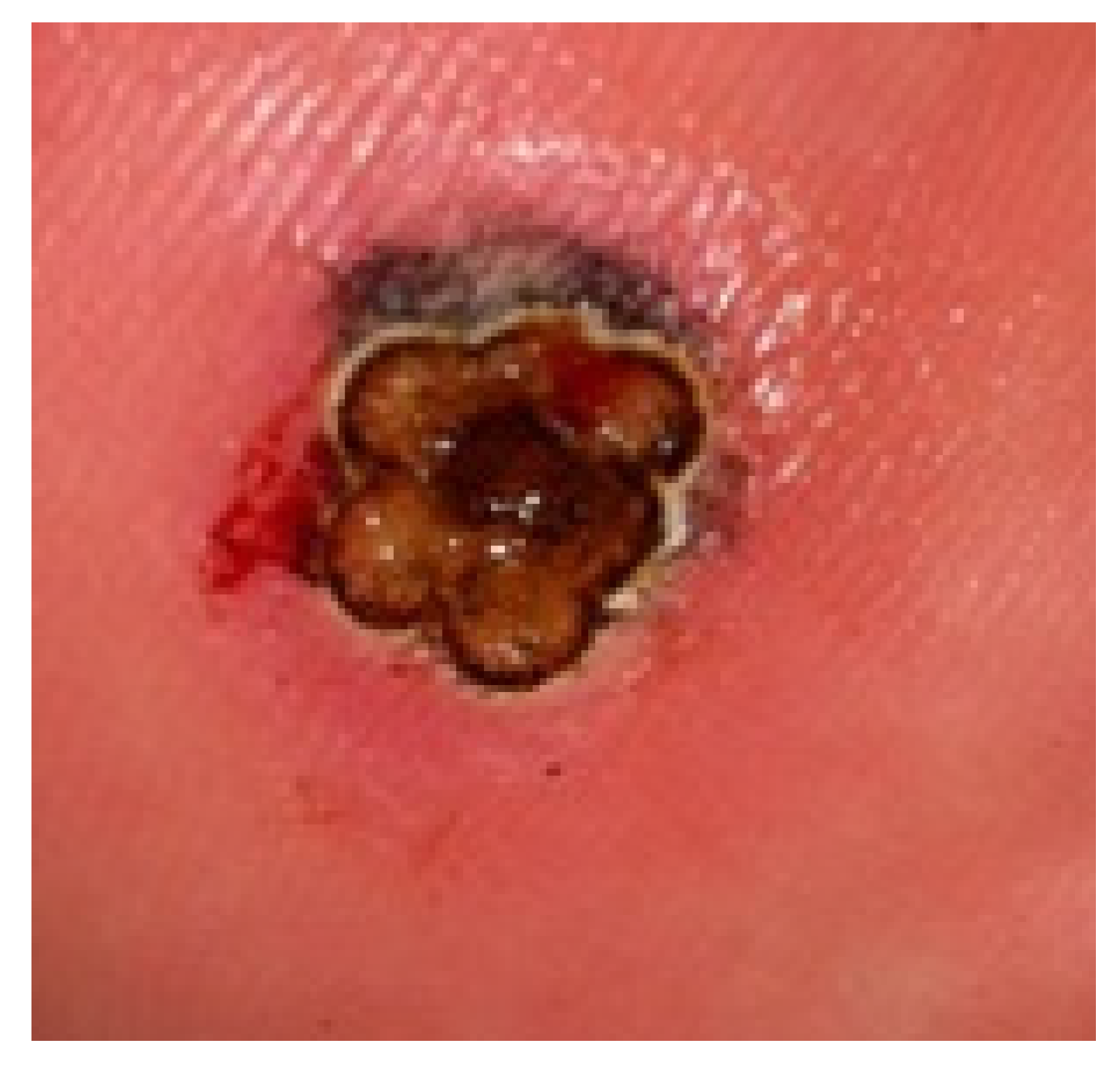 Ijerph 19 00801 g003