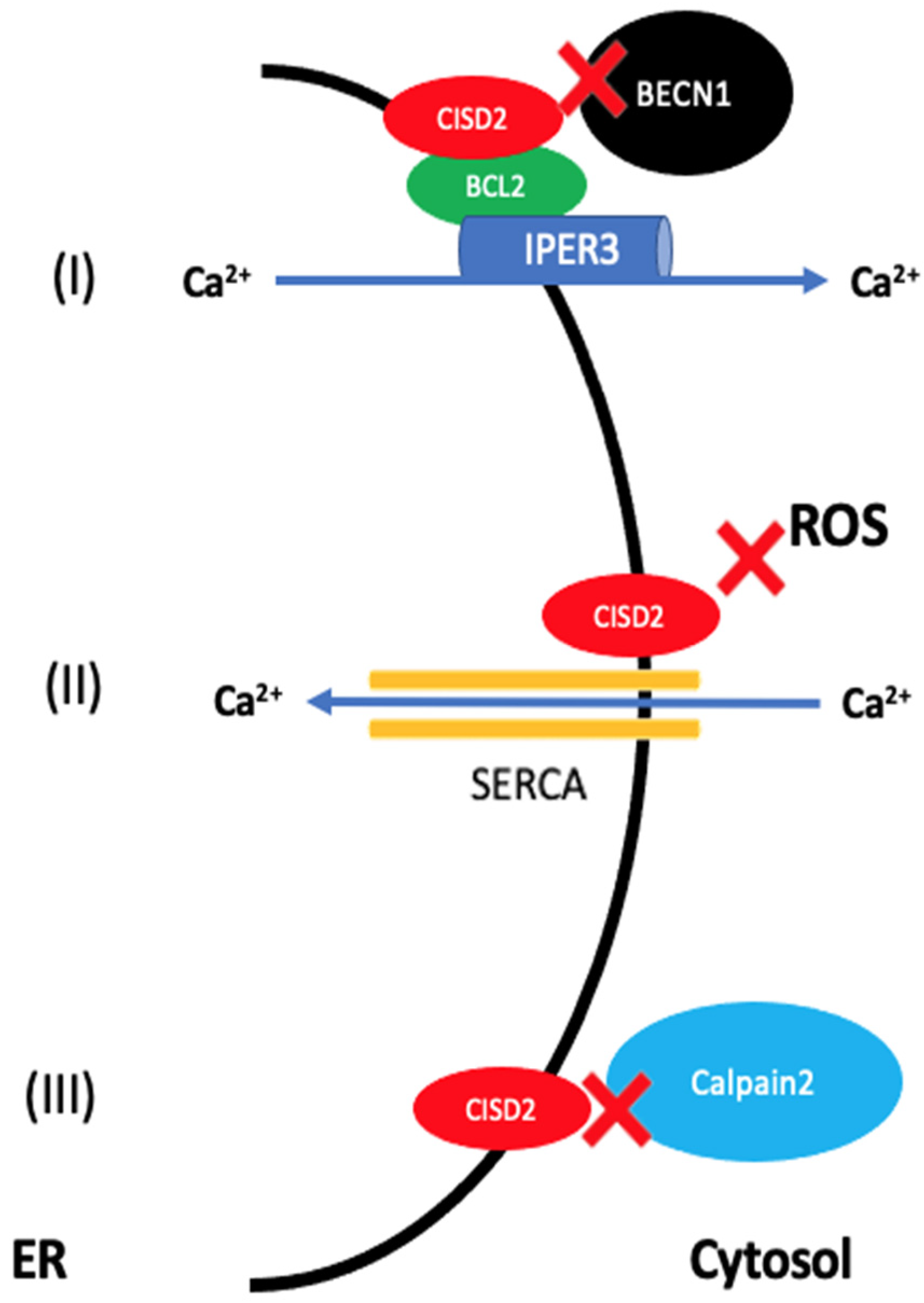 Ijerph 19 00835 g001