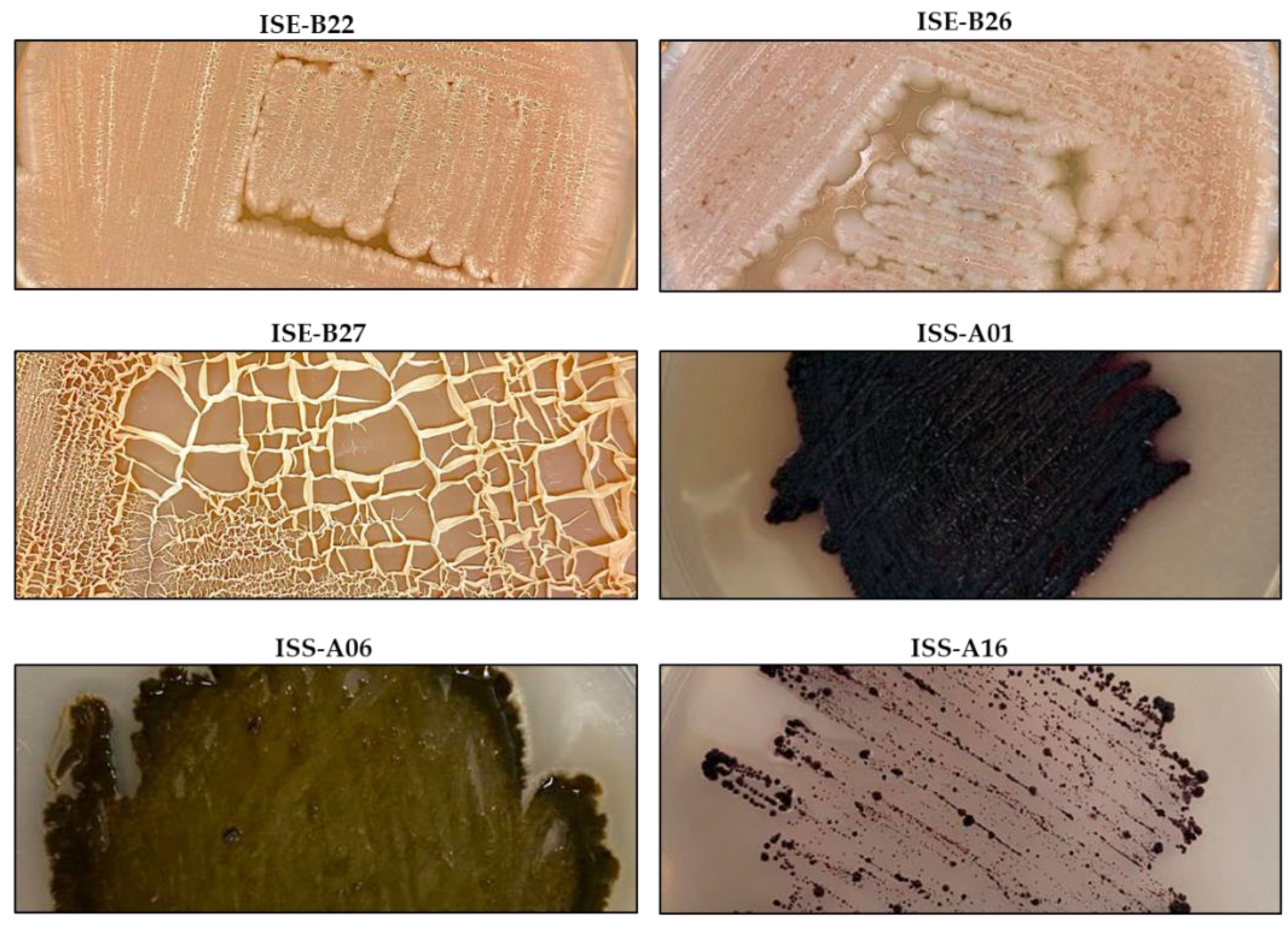 Ijerph 19 00894 g001