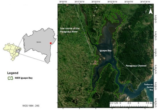 Ijerph 19 00908 g001