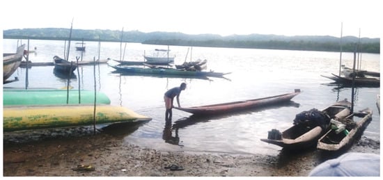 Ijerph 19 00908 g002