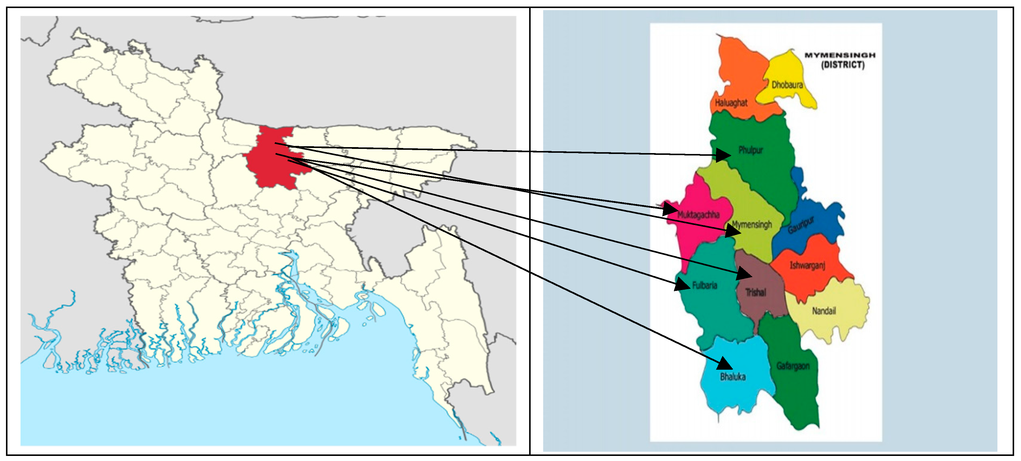 Ijerph 19 00967 g002