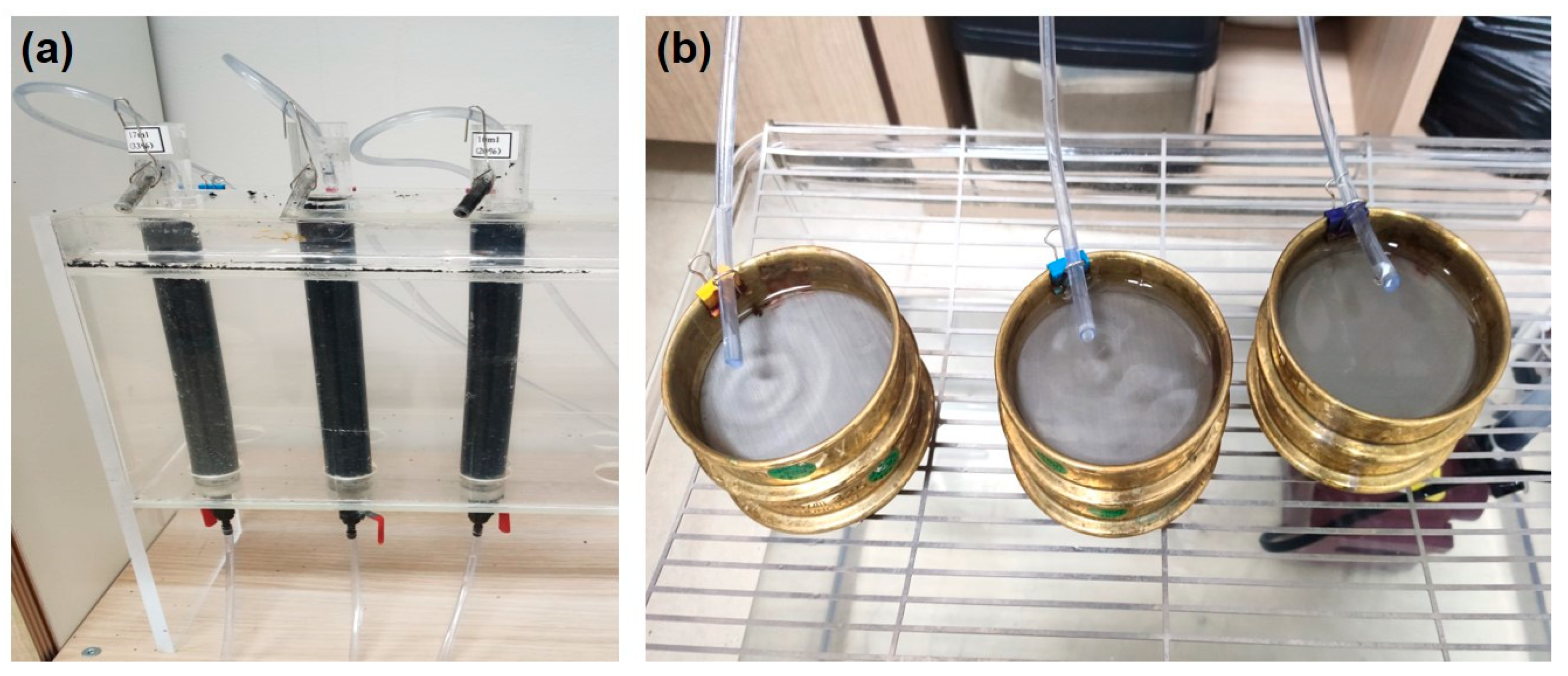 Ijerph 19 01005 g001