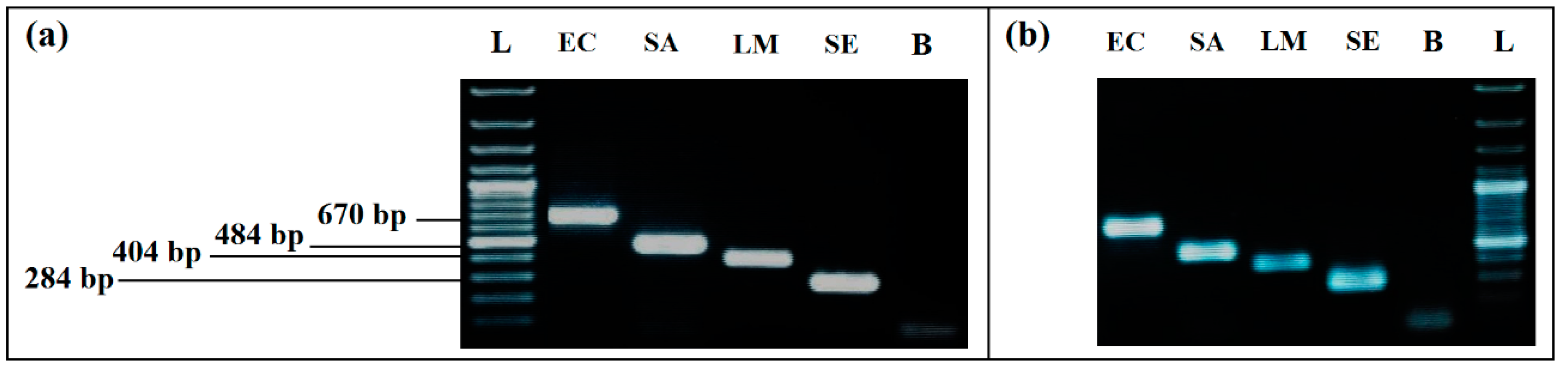 Ijerph 19 01031 g001 Ijerph 19 01031 g001